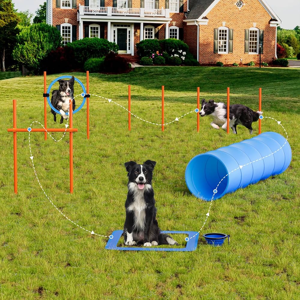 Hunde Agility Set Mit Tunnel & Hindernissen - Trainingsset Für Garten