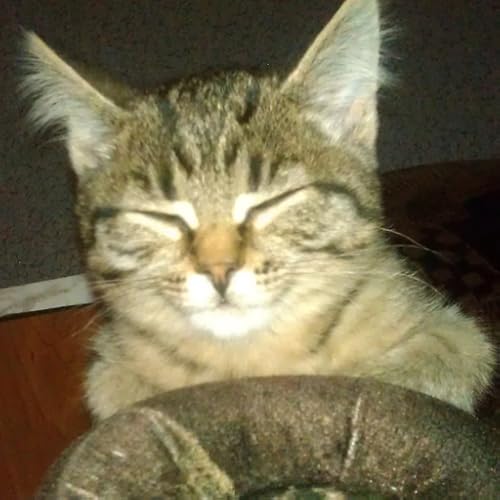 ????????? - //medicalbooks.filipinodoctors.org