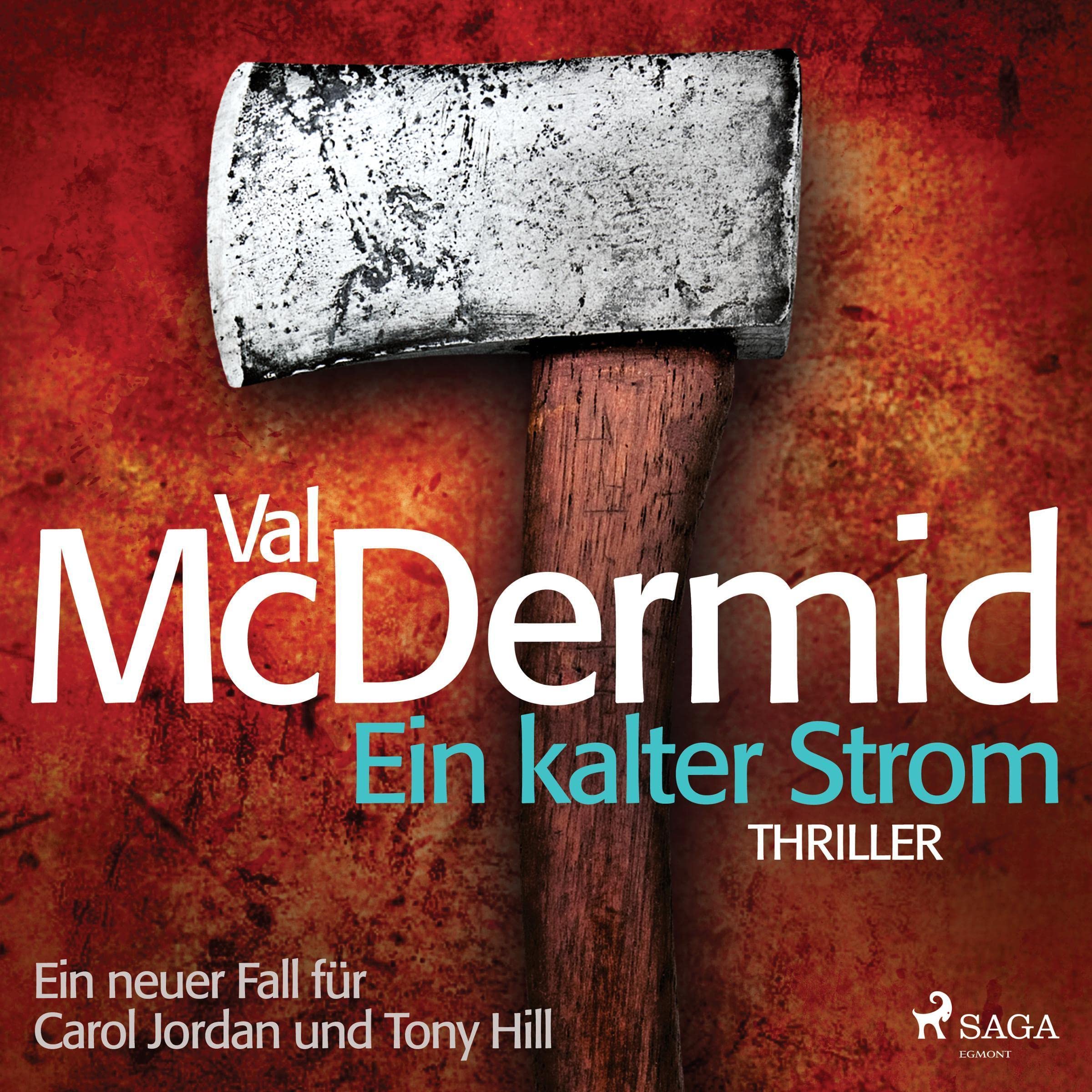 Cover art for Ein kalter Strom
