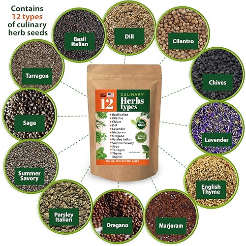 Miniatura 6 de Juego de 12 semillas de hierbas culinarias de reliquia, 3800 semillas para plantar en interiores y exteriores, albahaca, cilantro, cebollino,