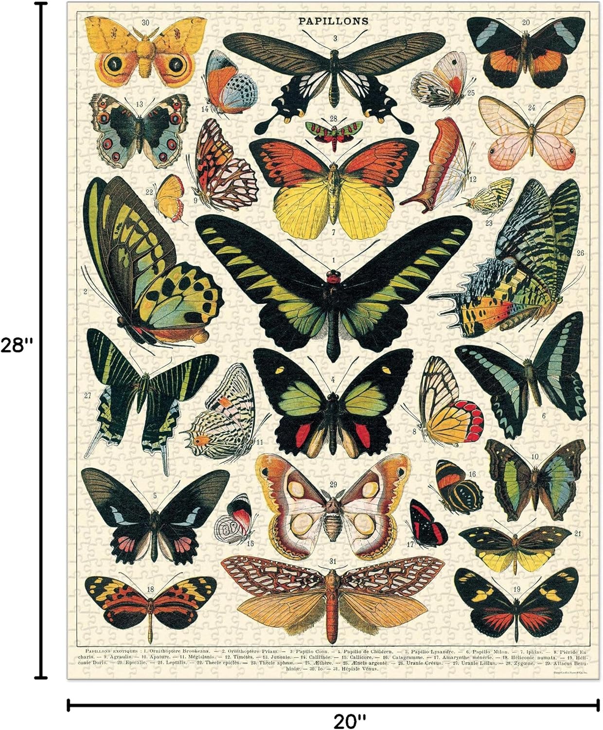 Butterflies 1,000 Piece Puzzle image 4