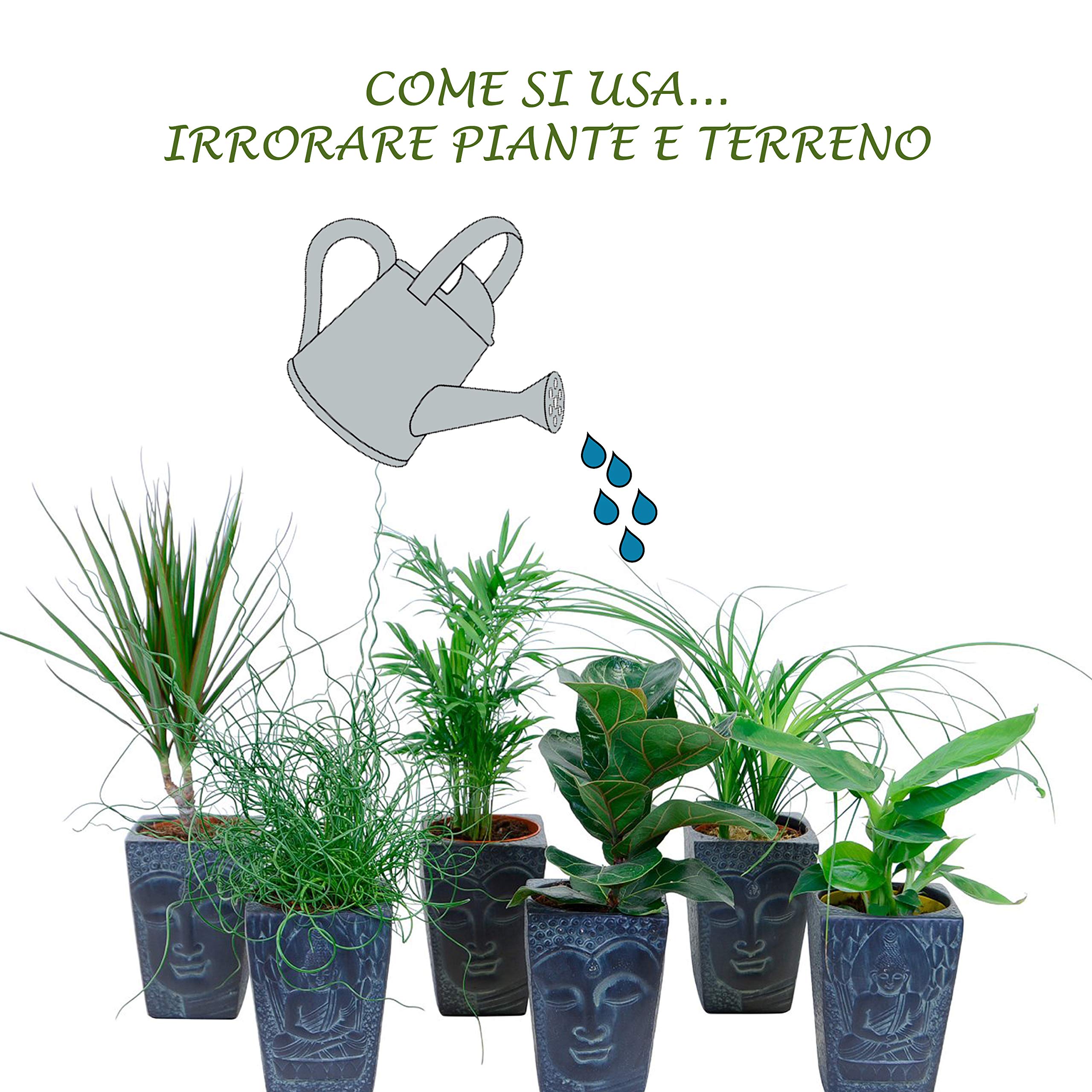 BSI Concime Universale Per Piante Da Interno E Balcone – 5 Litri – NPK 6-5-6 Con Oligoelementi