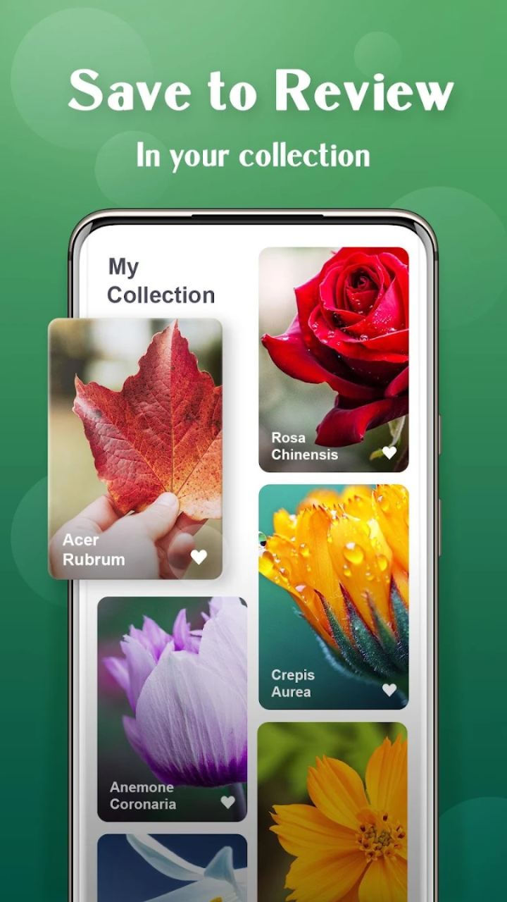 Plant Lens Plant & Flower for Android