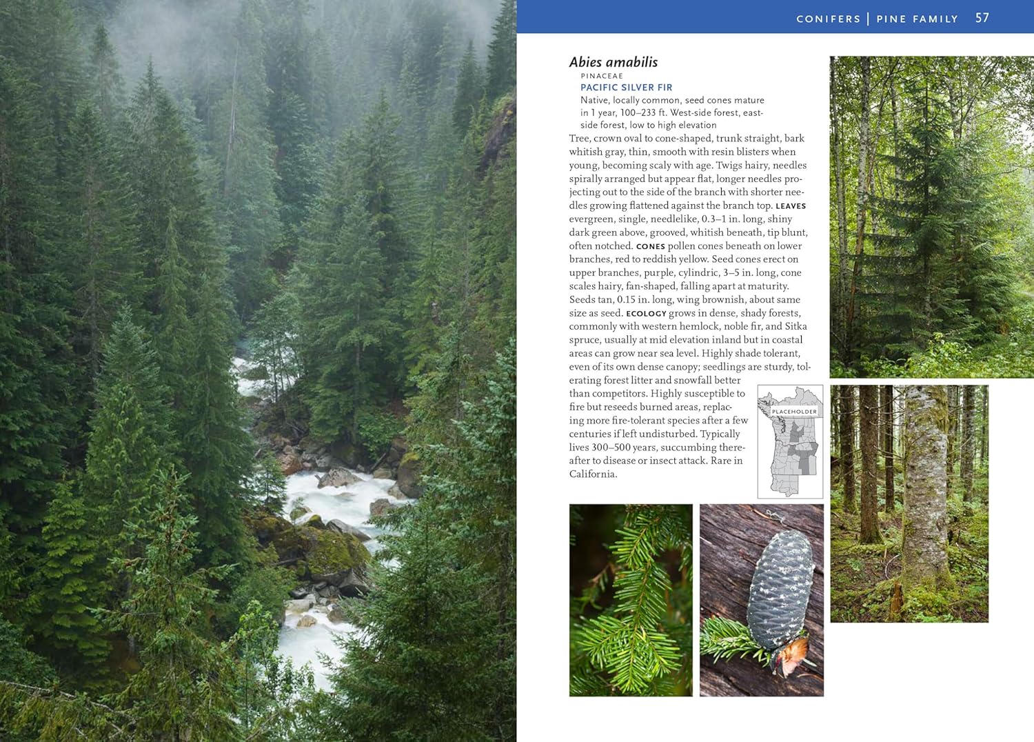 Trees and Shrubs of the Pacific Northwest (A Timber Press Field Guide)