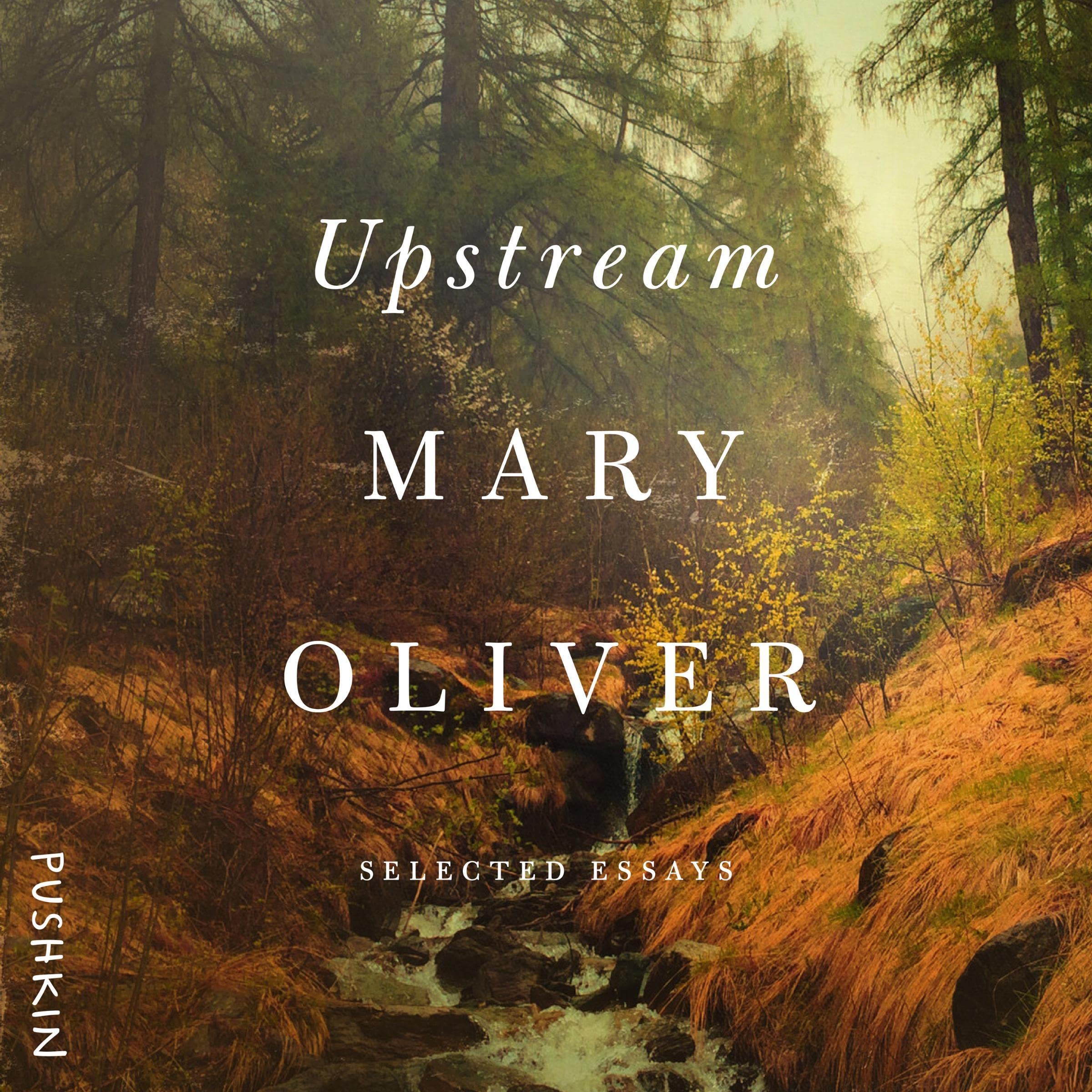 Cover art for Upstream