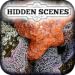 Hidden Scenes - Secret Tidepool
