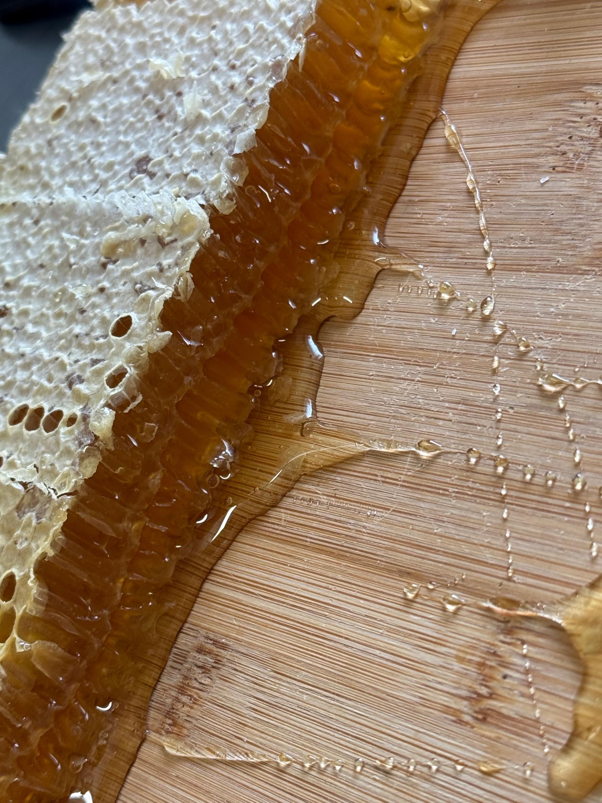 Wabenhonig aus Deutschland (ca 1.1 kg mit Holzrahmen)