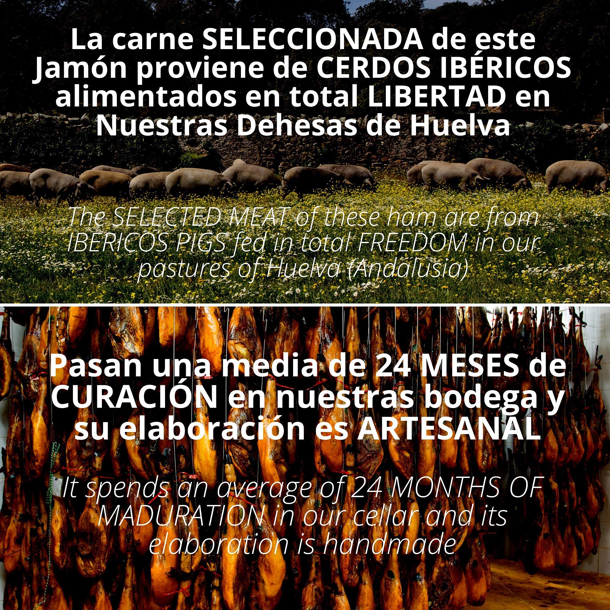 5.5-6 kg Paleta de Cebo de Campo Iberico 50% Raza Iberica - Jamon Ibérico de Elaboracion Artesanal - Embutidos Ibericos