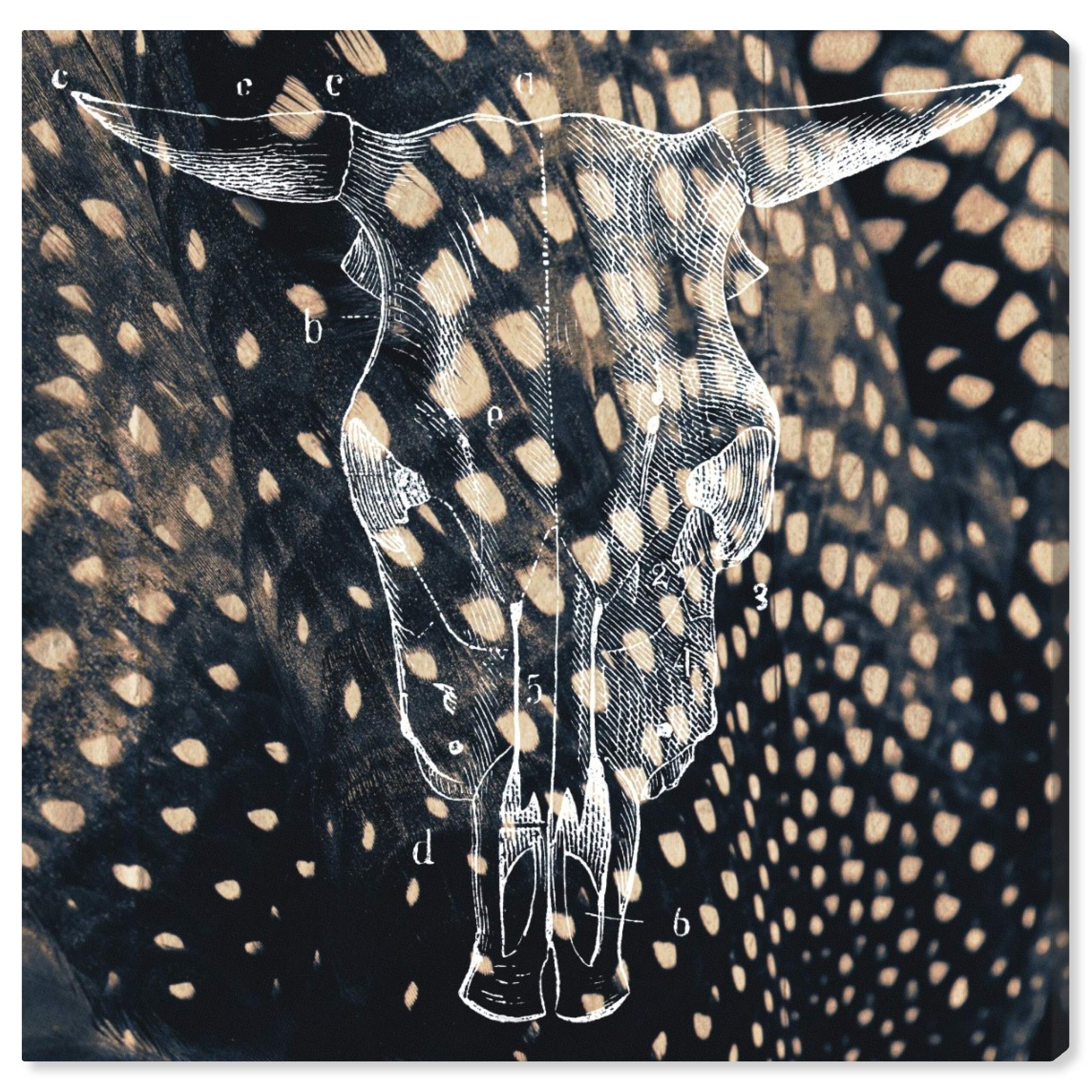 Amazon｜Oliver Gal 10087_20x20_CANV_XHD Olivergal 'Ox' キャンバス