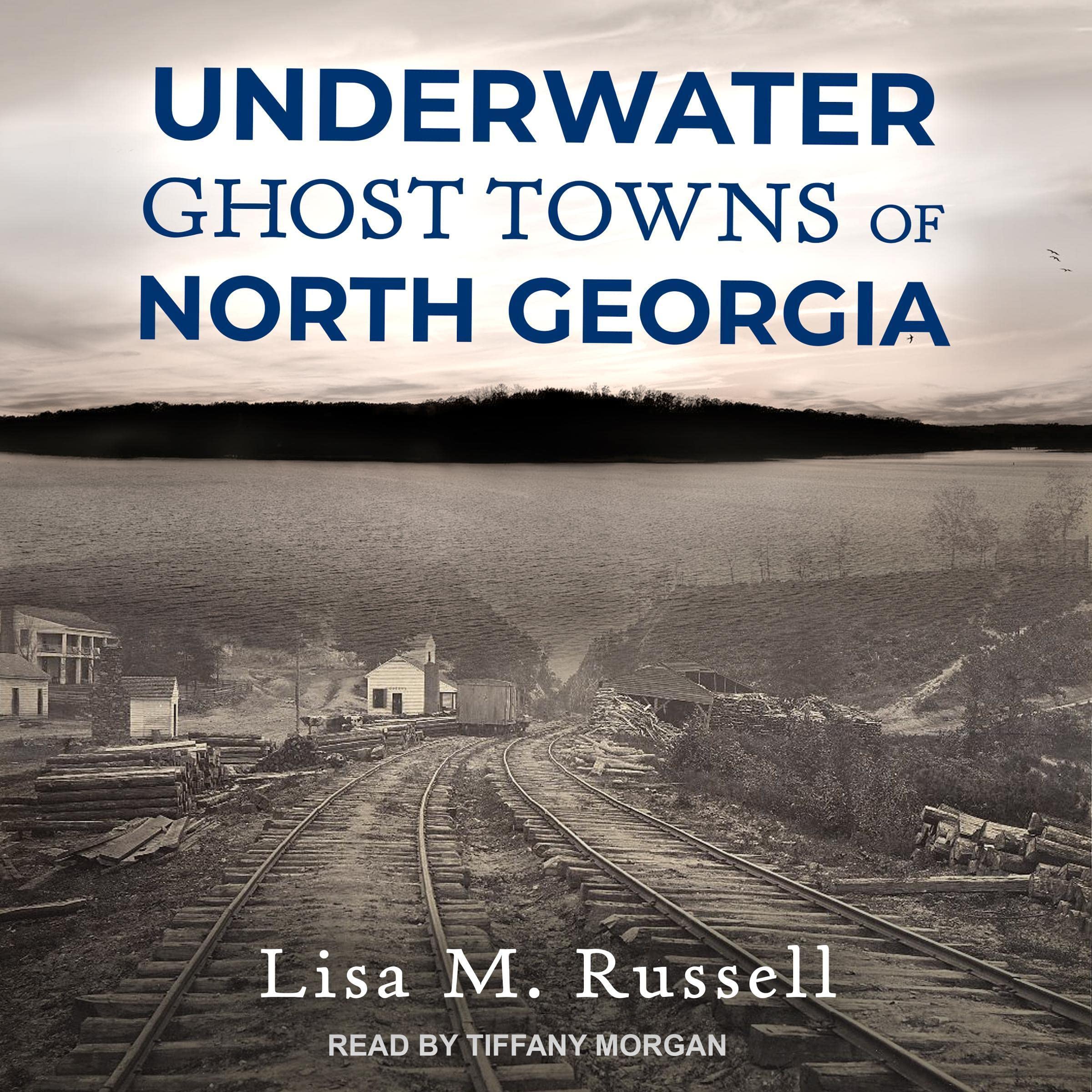 Cover art for Underwater Ghost Towns of North Georgia