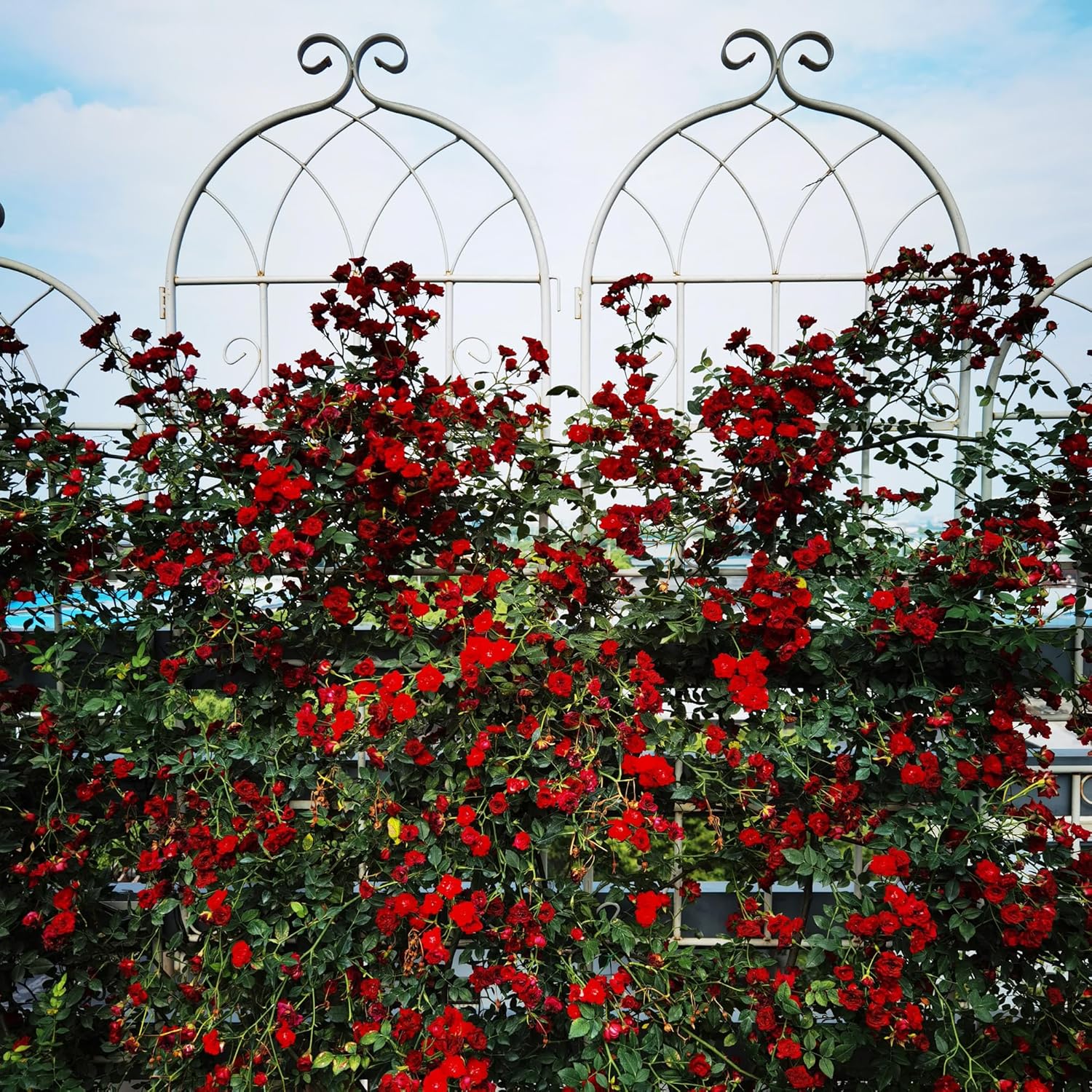 Metal Garden Trellis Rustproof Trellis for Climbing Plants Outdoor Flower Support Butterfly Deco (Cream White-2 Pack, 71"x19.7")