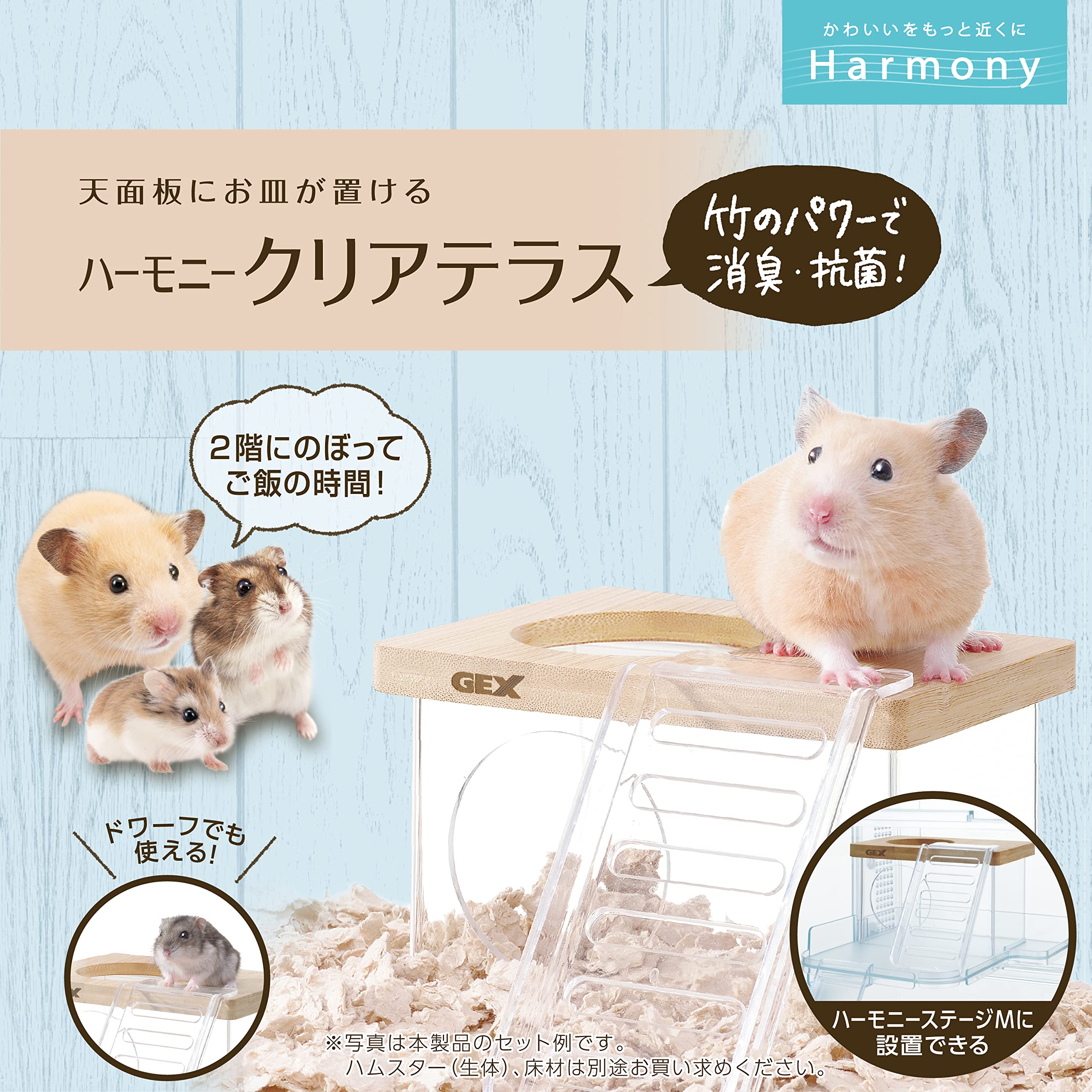 Amazon | ジェックス Harmony ハーモニークリアテラス 中の様子