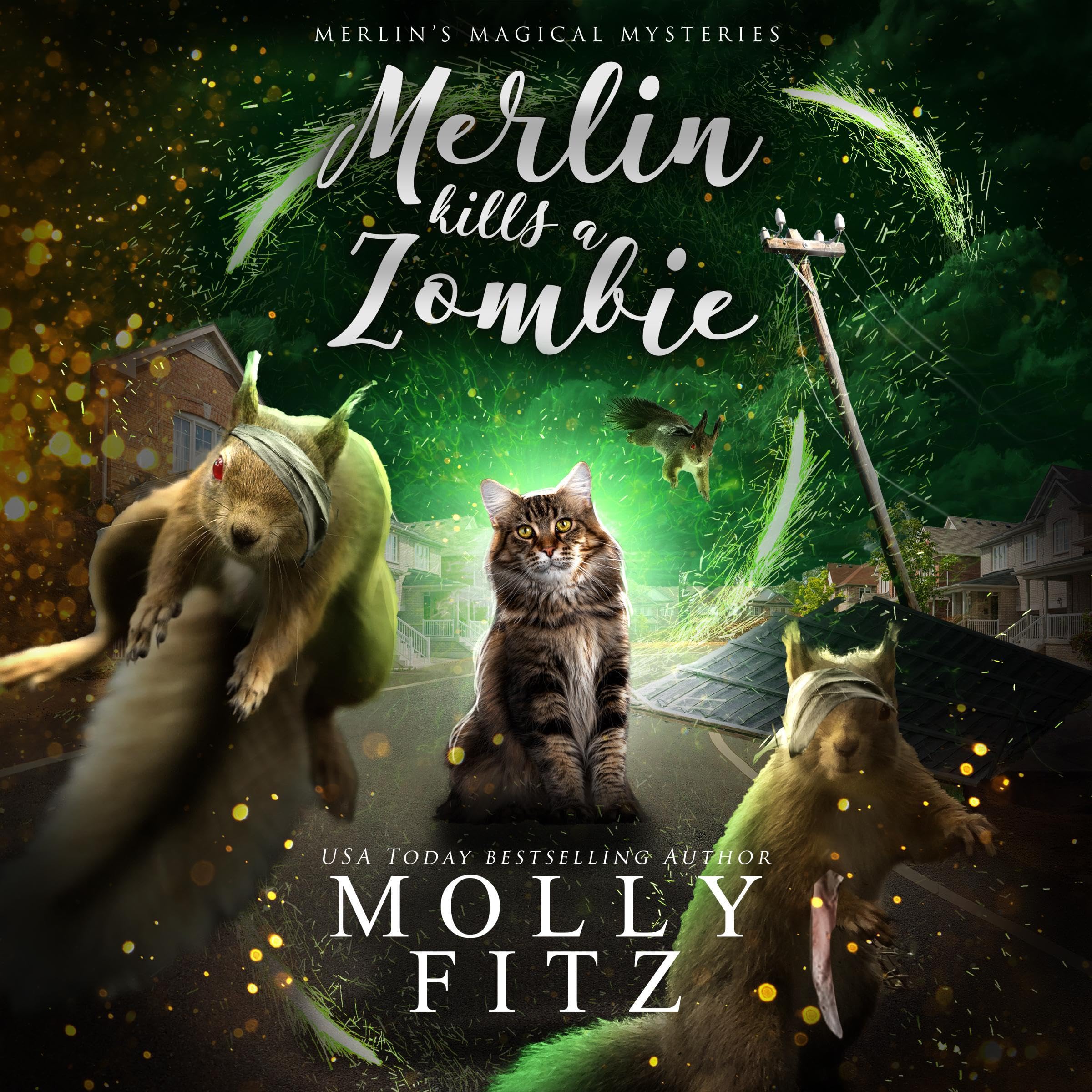 Cover art for Merlin Kills a Zombie