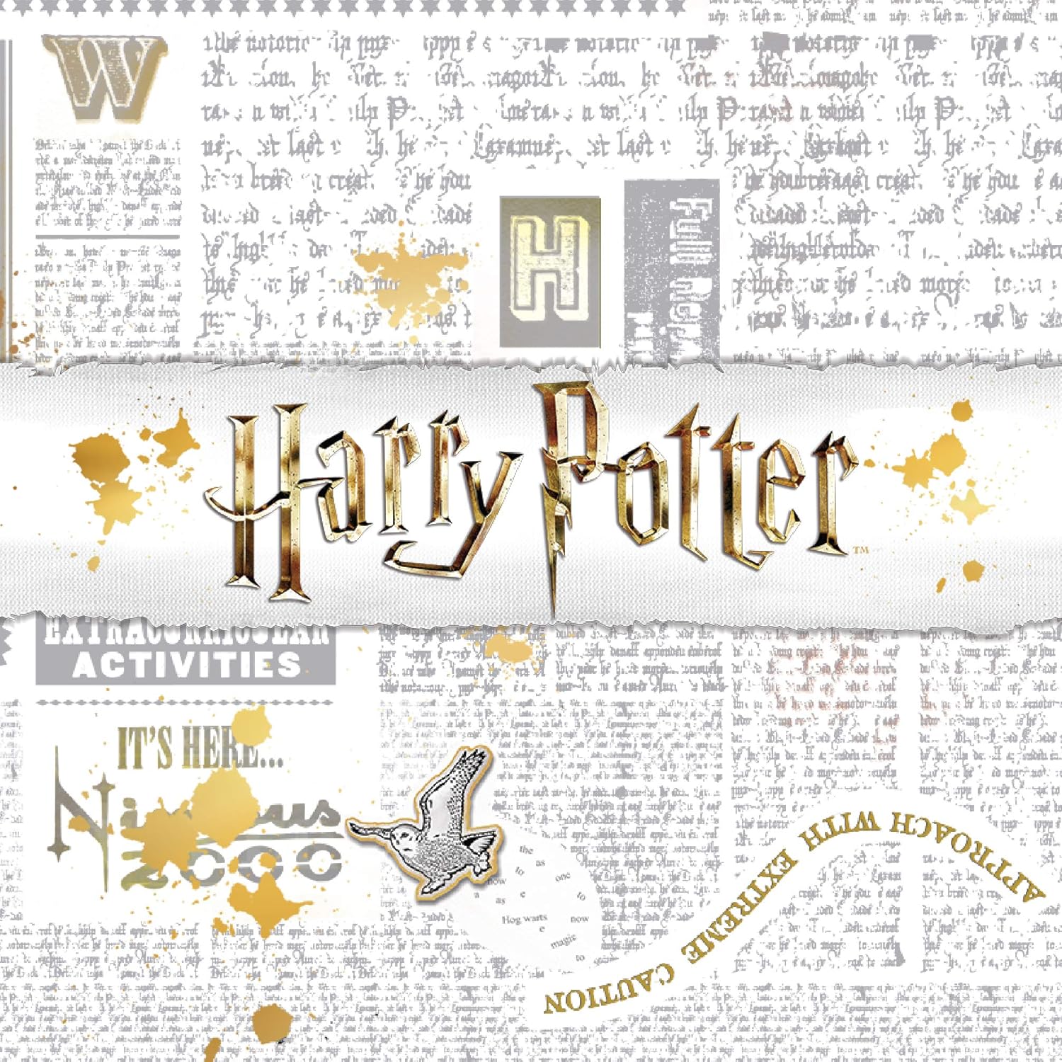 Harry Potter Golden Snitch Silver Plated Two Tone ring, Official License: Clothing, Shoes & Jewelry