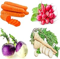 Sunutri Non-GMO Heirloom Root Vegetable Seeds Pack: Carrot, Radish, Turnip, Parsnip - Easy Grow High Yield Home Garden Kit