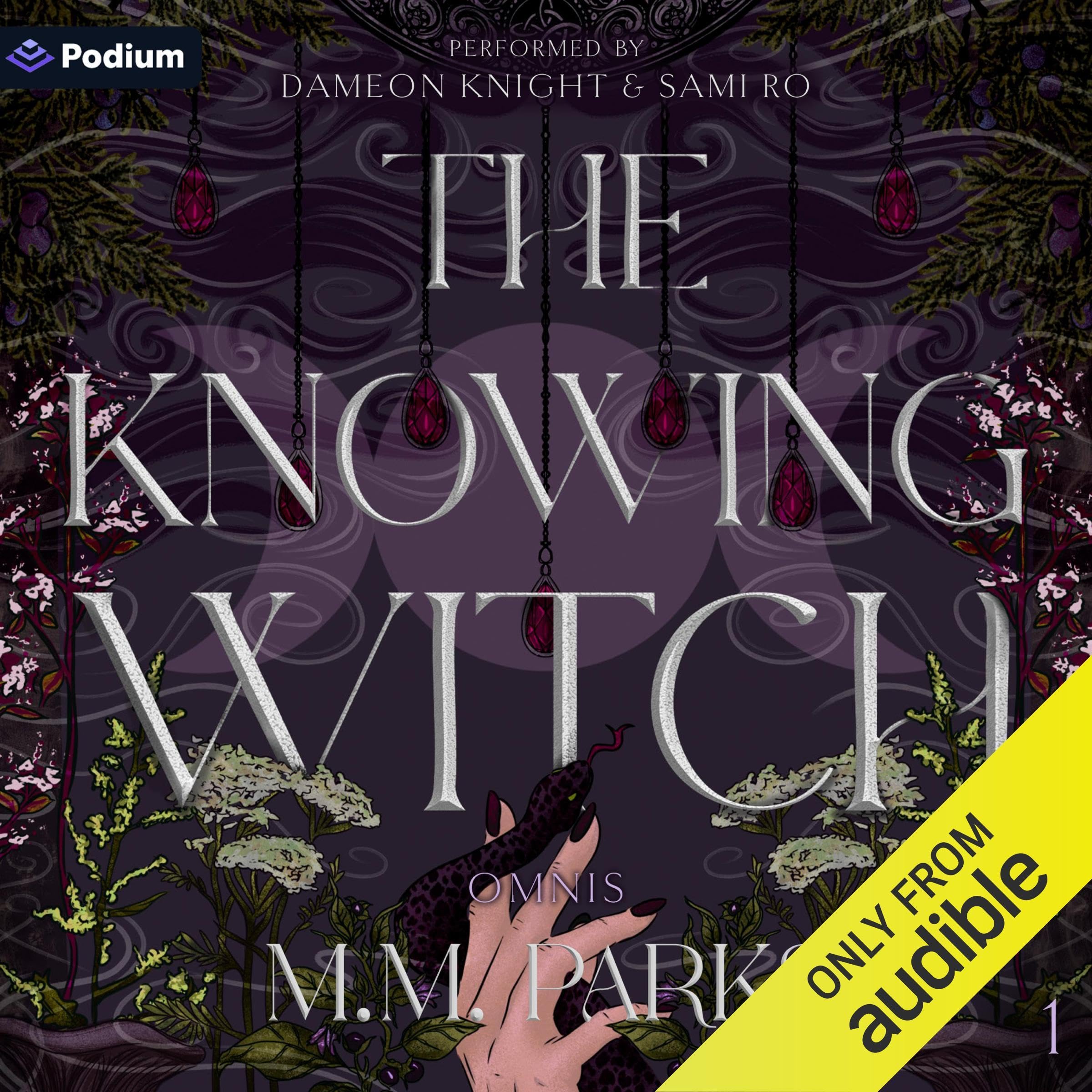 Cover art for The Knowing Witch