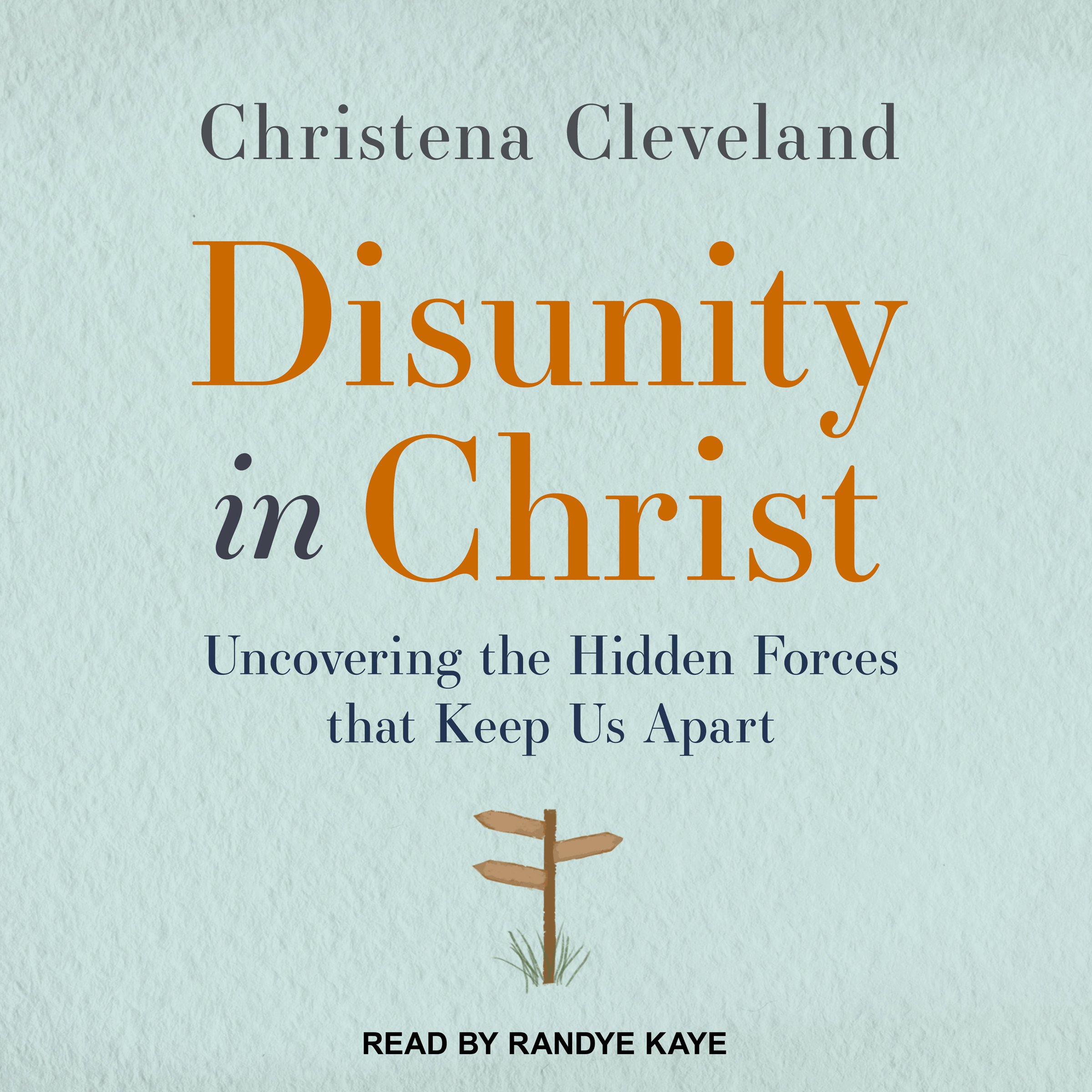 Cover art for Disunity in Christ