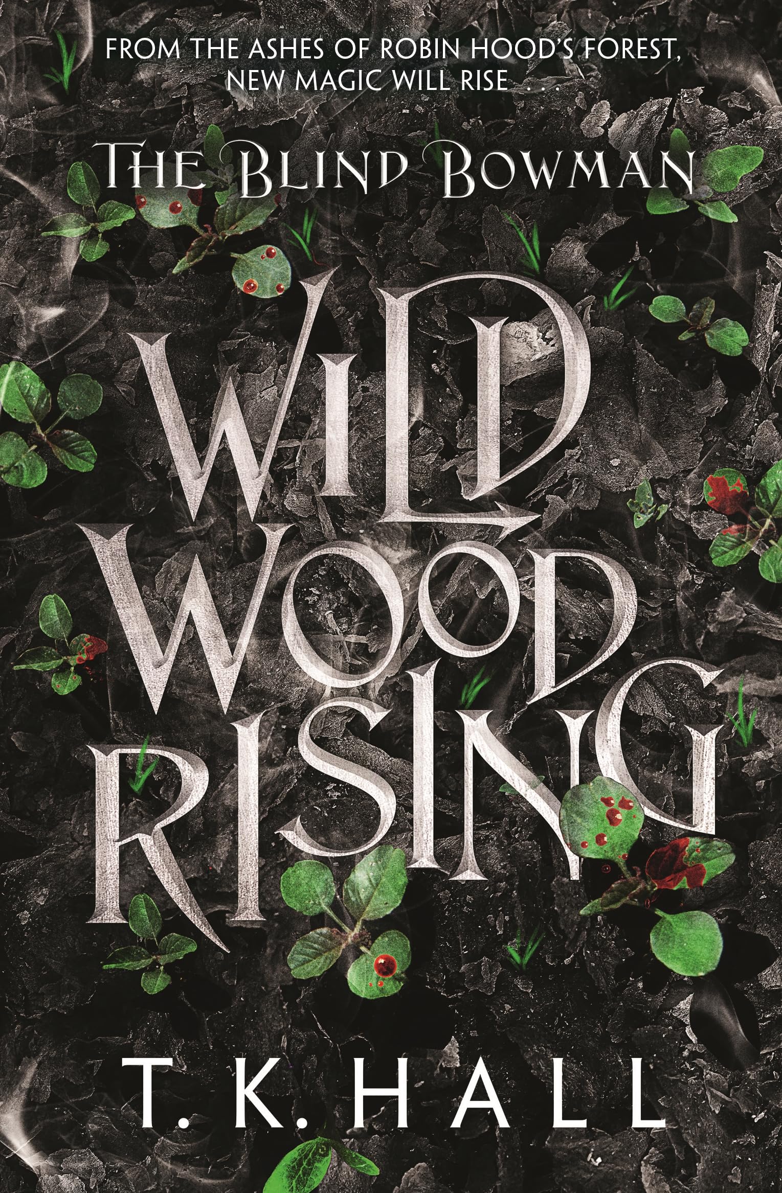 The Blind Bowman: Wildwood Rising by Tim Hall (Paperback Book)