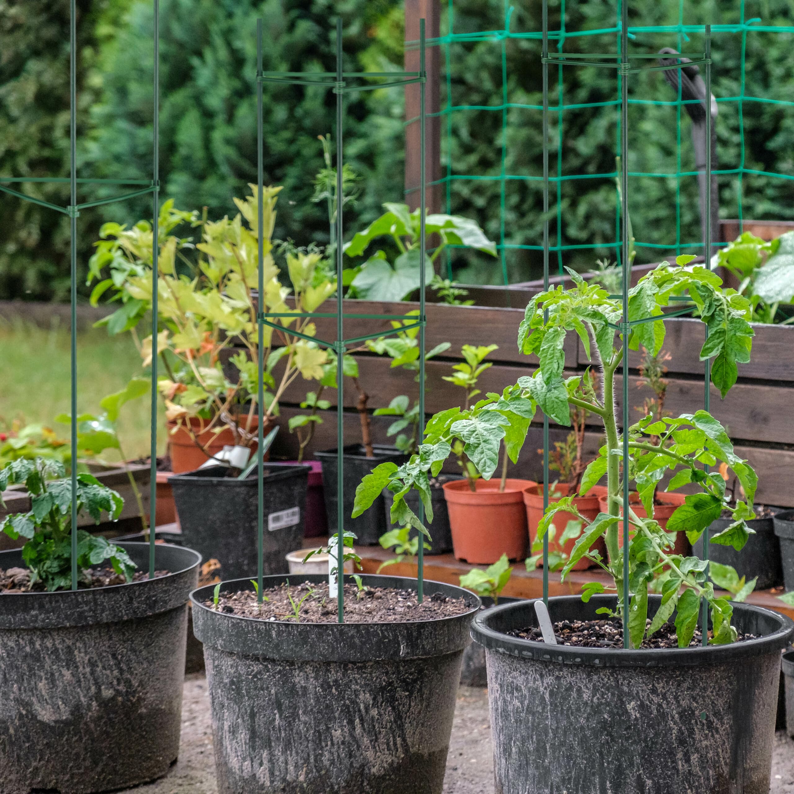 Relaxdays Rankhilfe 4er Set - 90cm Pflanzenstützen Für Tomaten & Kletterpflanzen