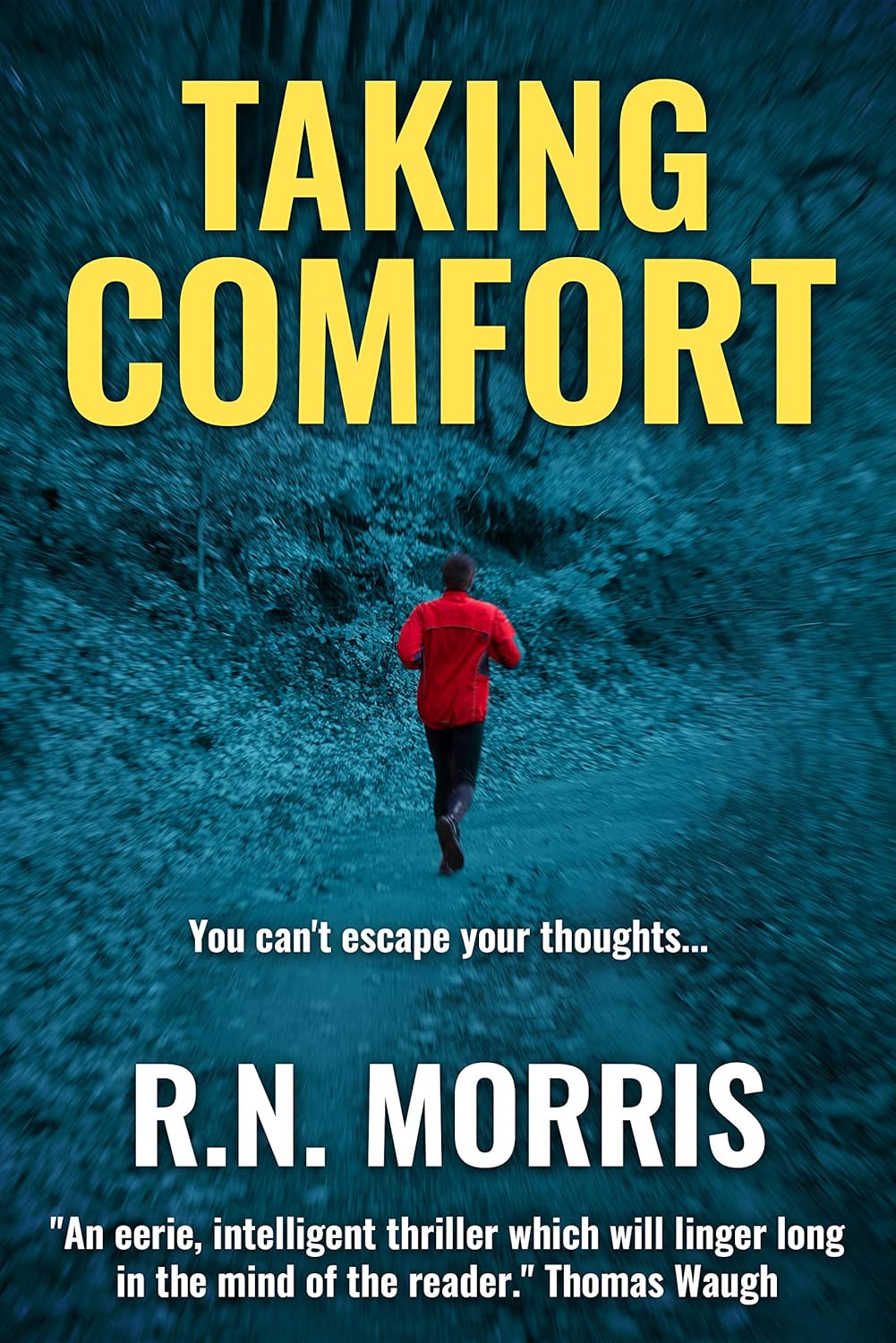Taking Comfort      Kindle Edition