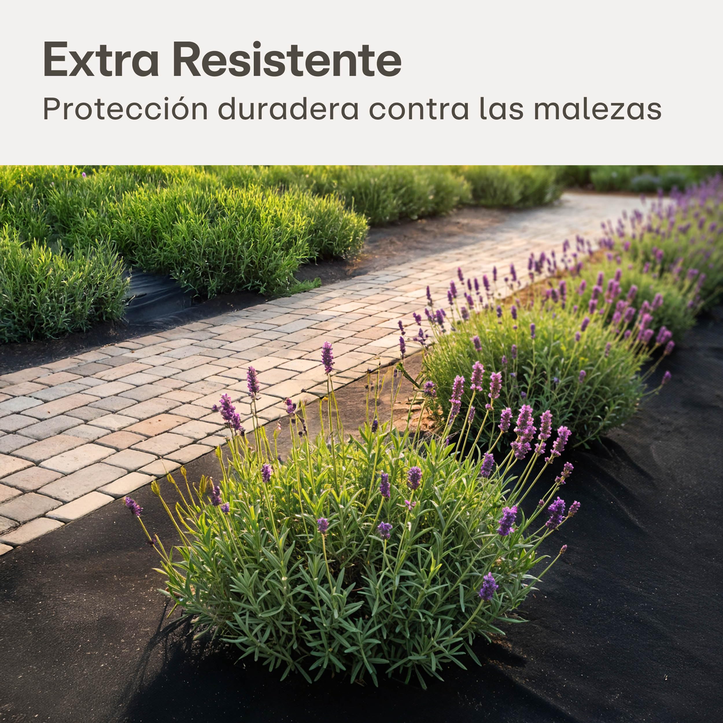 Praknu Malla Antihierbas Geotextil 100g/m² con 12 Anclajes – Extra Resistente & Protección UV – 25m² Tela Transpirable & Antidesgarros – Ideal para Jardines, Huertos Elevados & Terrazas