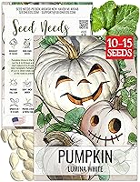 Vista 8 de Seed Needs Semillas de calabaza para plantar calabazas Jarrahdale azules, reliquia sin OMG y semilla de Cucurbita Maxima sin tratar para plantar un