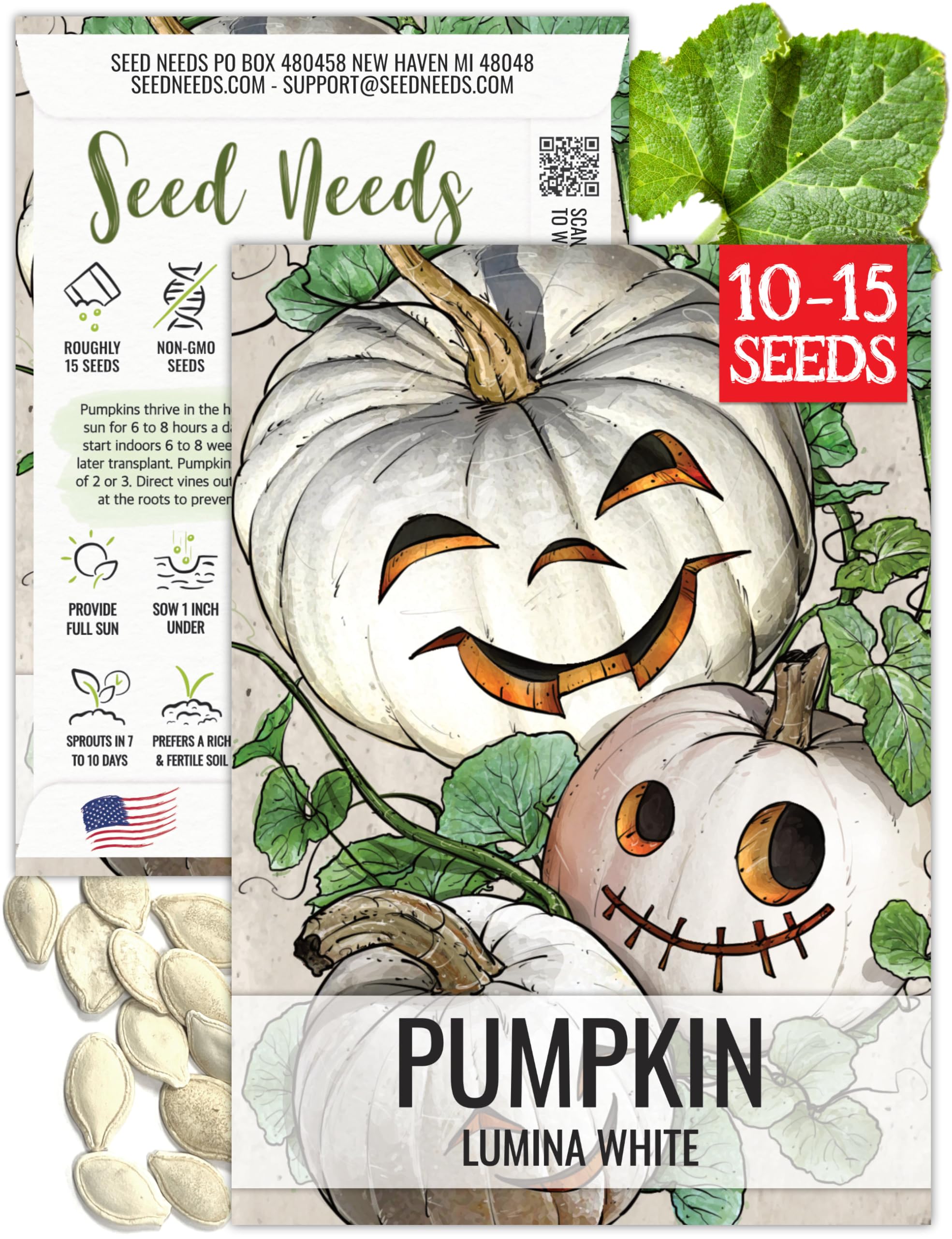 Amazon.com : Seed Needs White Pumpkin Seeds for Planting Lumina