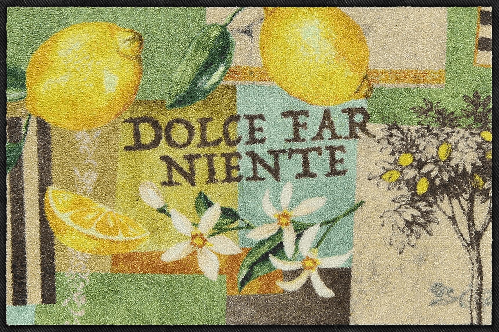 Salonloewe Fussmatte Dolce Far Niente I Schmutzfangmatte & Fußabtreter für Innen 50 x 75 cm