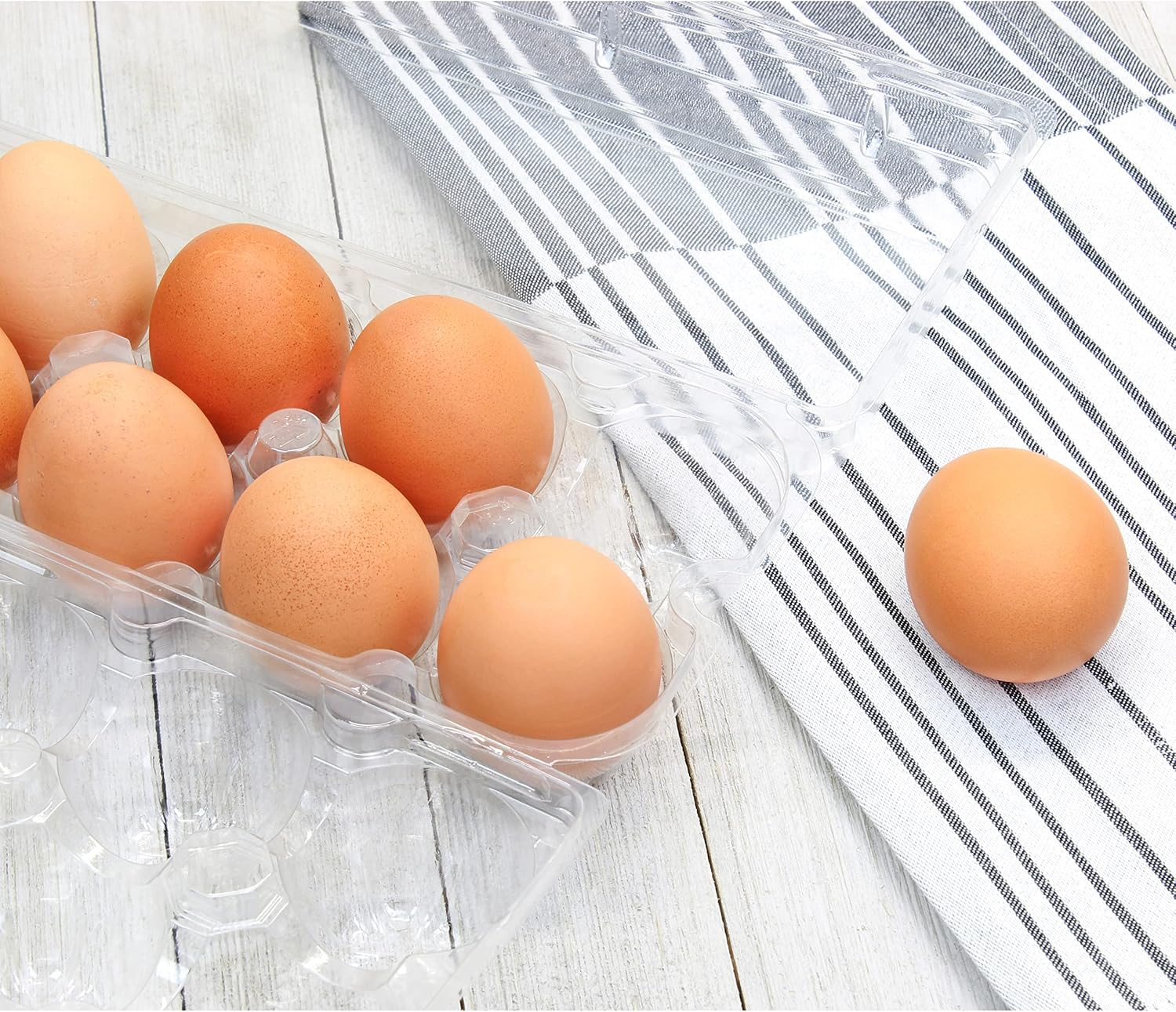 Clear Plastic Egg Cartons (20-Pack); Tri-Fold Containers for One Dozen Eggs