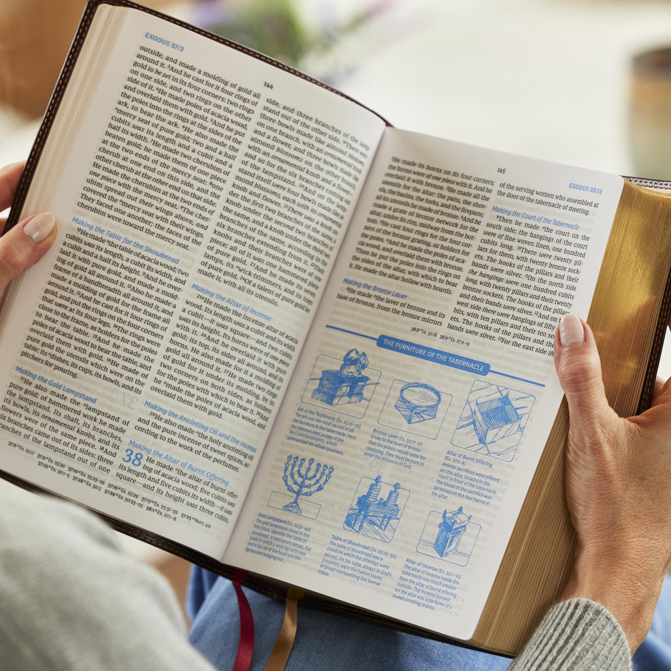 The NKJV, Charles F. Stanley Life Principles Bible, 2nd Edition, Leathersoft, Burgundy, Comfort Print: Growing in Knowledge and Understanding of God Through His Word