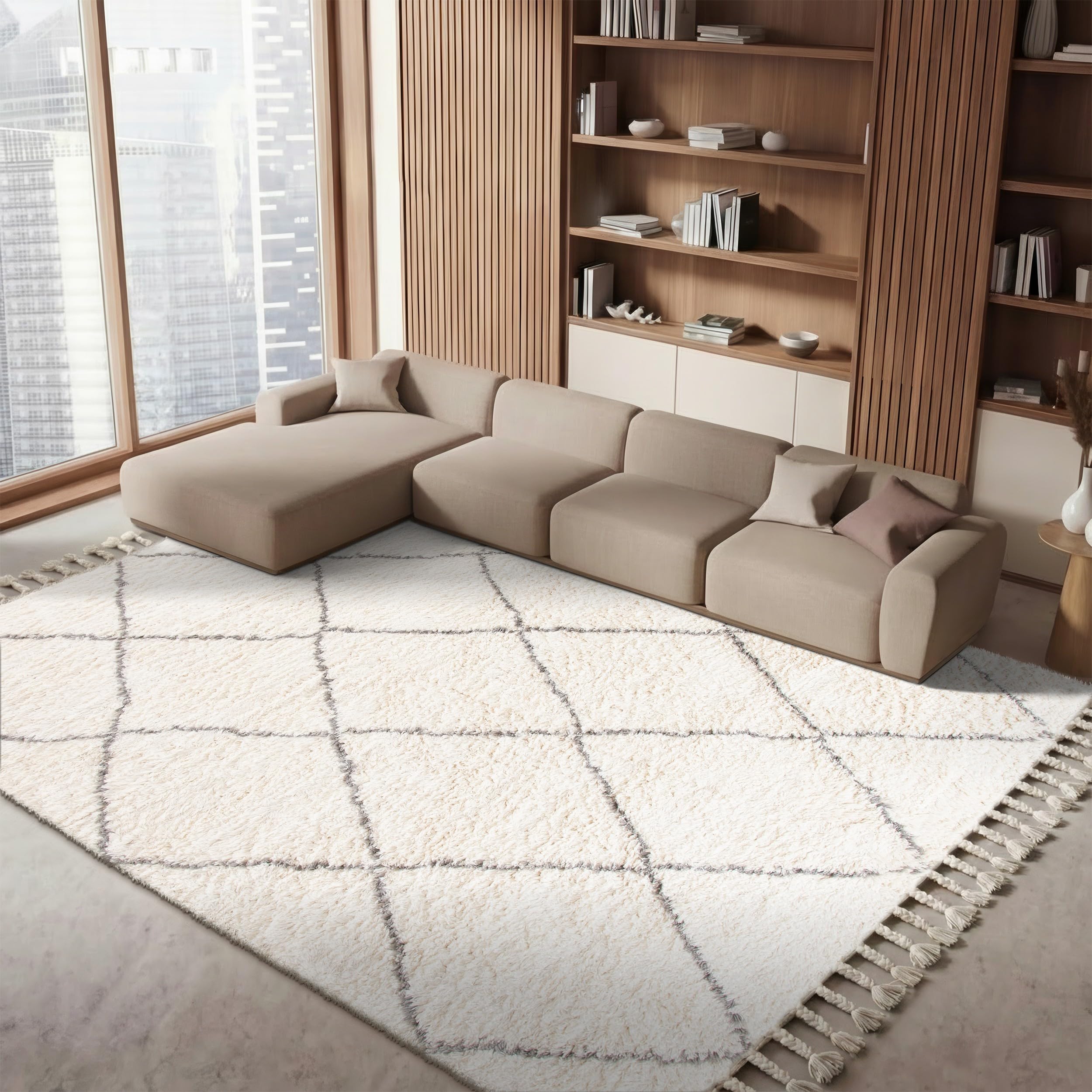 Amazon.com: SAFAVIEH Area Rug 8x10 - Casablanca Shag Collection