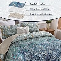 Vista 189 de DJY Juego de edredón de cachemira marrón, tamaño Queen, juego de colcha bohemia de 3 piezas, ropa de cama de microfibra suave y ligera con estampado