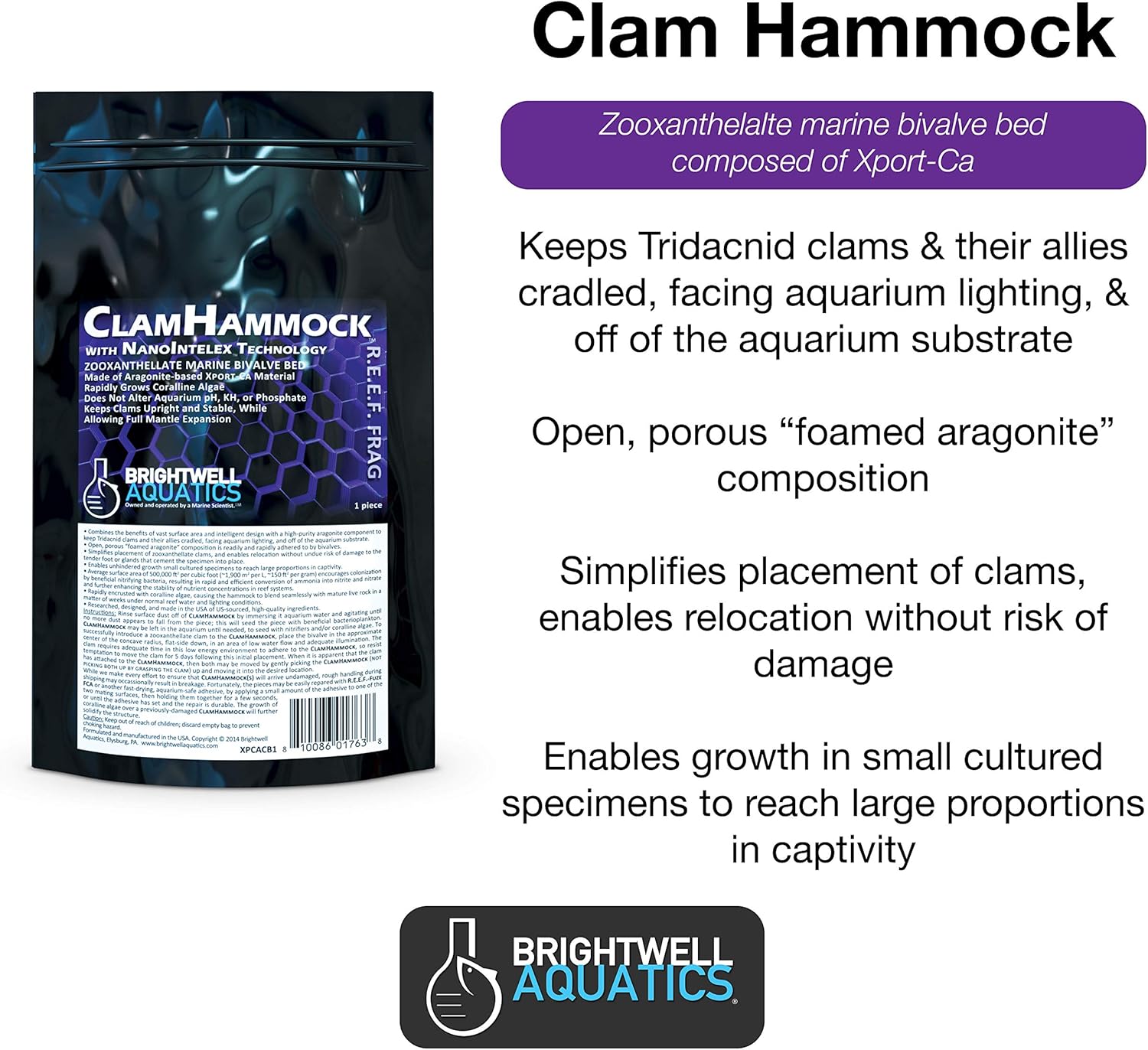 Brightwell Aquatics Clam Hammock - Zooxanthellate Marine Bivalve Bed Composed of Xport-Ca