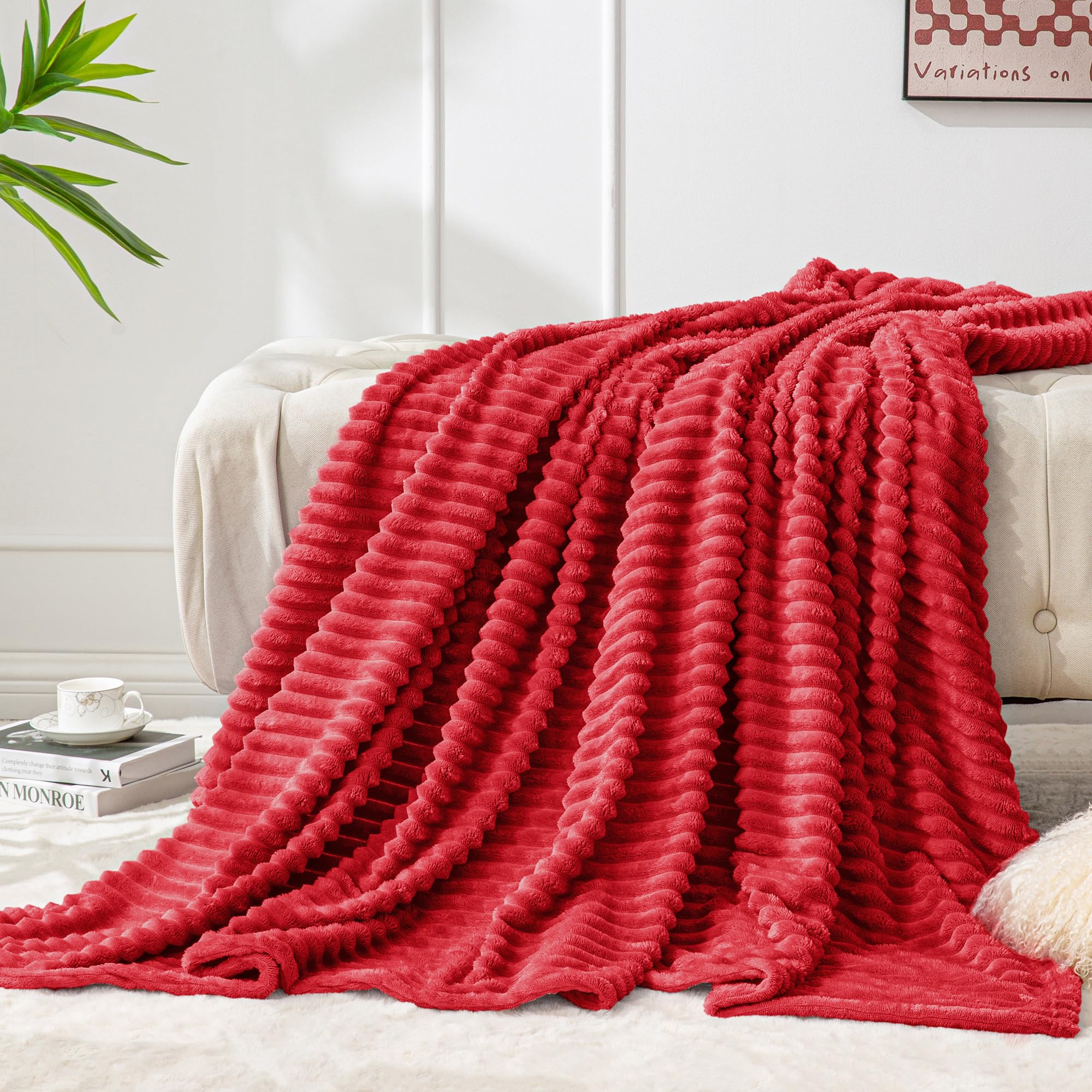 BEDELITE 3D Ribbed Jacquard Red Fleece Twin Blanket for Couch, 60x80 Inch | Soft Warm Fluffy Blanket for Bed Sofa College Dorm Room Decor, Luxury Cozy Plush Birthday Gifts for Women Girls, Lightweight