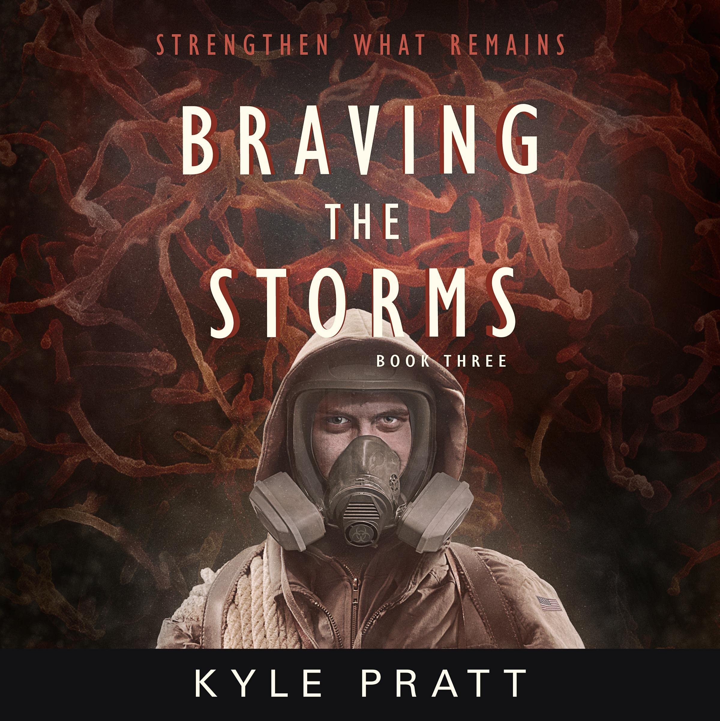 Cover art for Braving the Storms