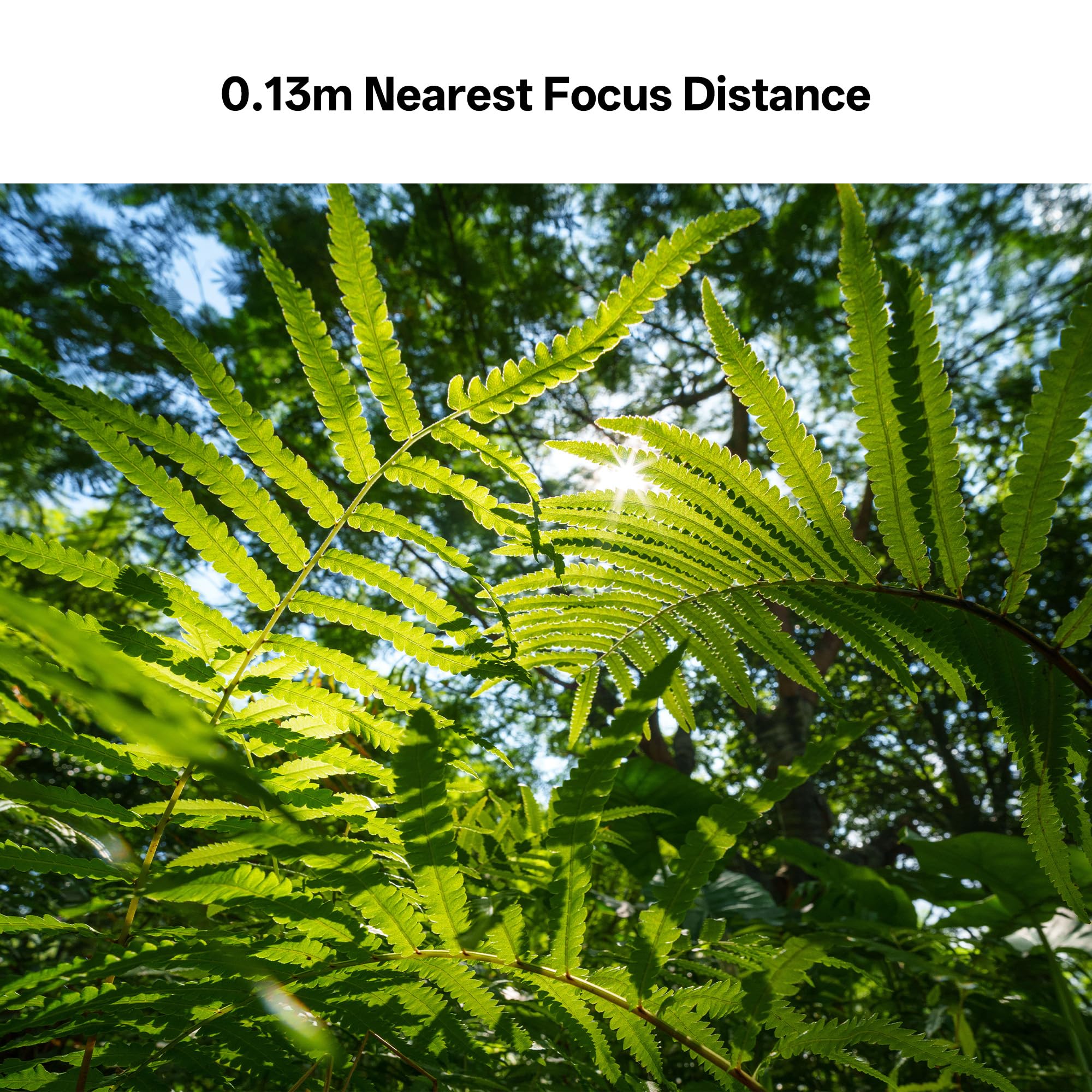 VILTROX 14mm F4.0 Z-Mount Obiettivo per Nikon, Full Frame Grande Apertura Ultra-Grandangolare Messa A Fuoco Automatica Primo Obiettivo Compatibile con Fotocamere Nikon Z-Mount Z5 Z50 Z50II Z6