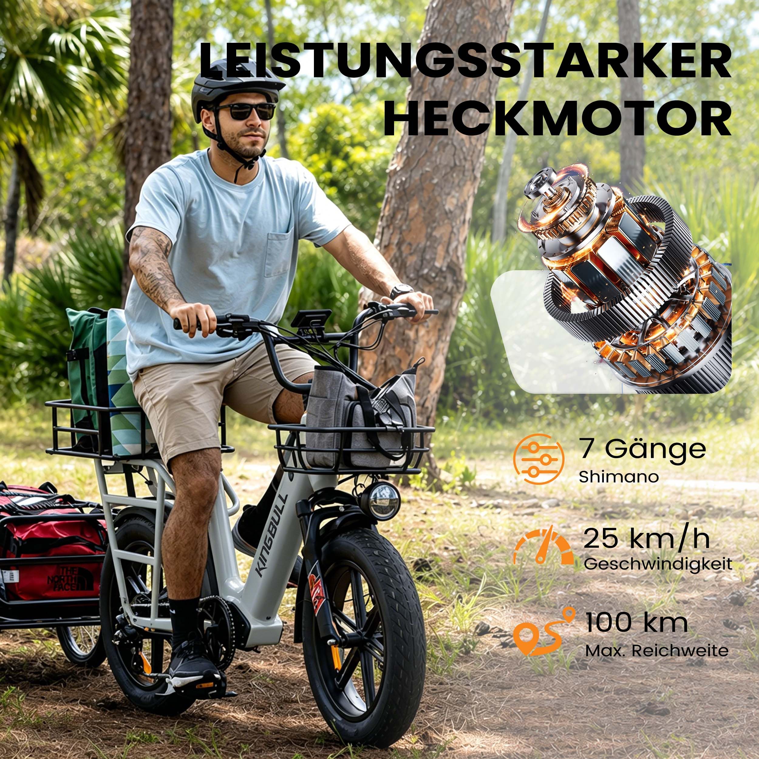 Elektric Cargo Bike Fat Tire E-Bike 20 Zoll 200kg Zuladung 960Wh, 25km/h Elektrofahrrad 100km Reichweite, Hydraulikbremsen für Erwachsene