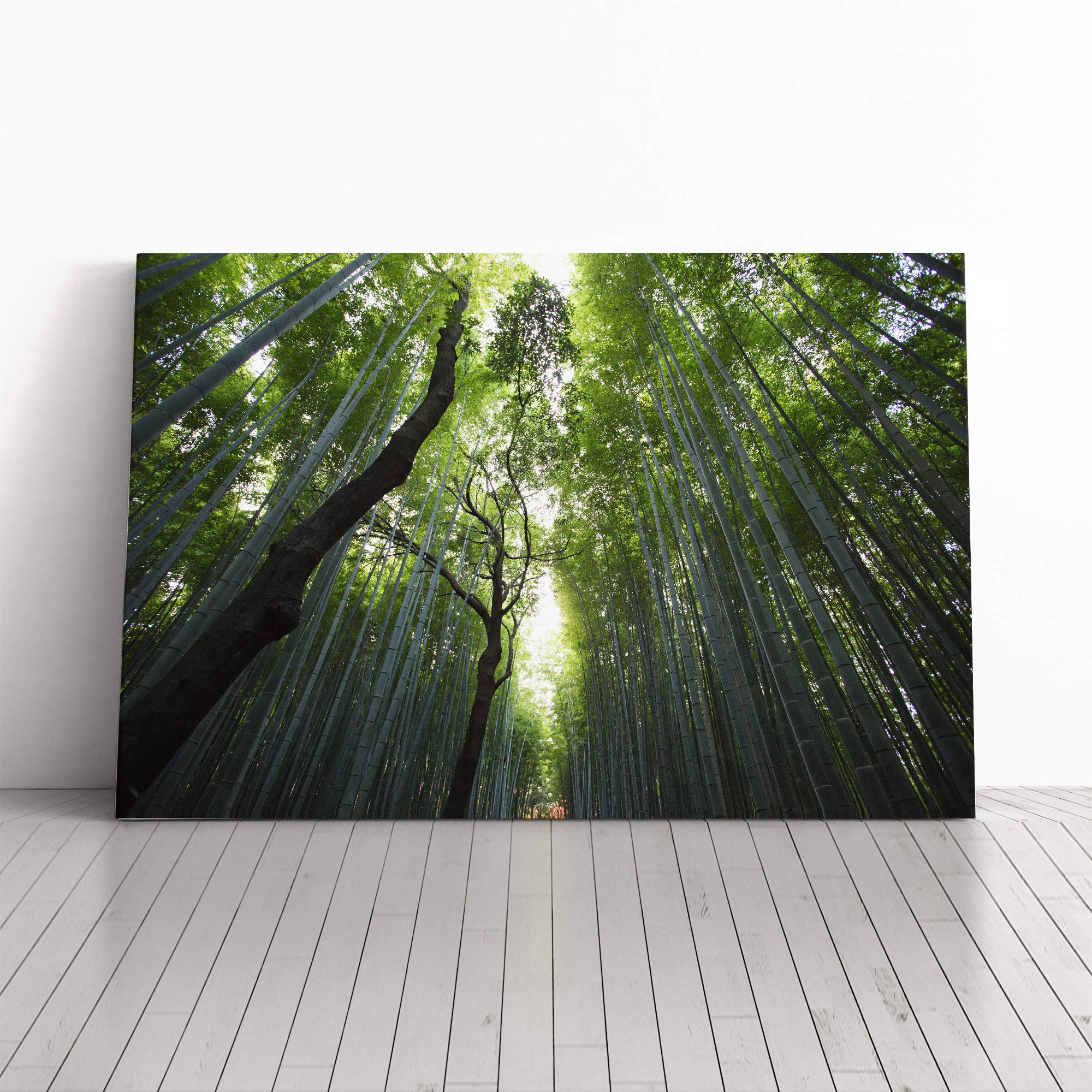 Landscape Sunlight Through Forest Woodland (1) Canvas Print | Gallery Wrapped 30mm Frame Wall Art | 30x20 inches | Ready to Hang | Modern Landscape Picture | Living Room Bedroom Lounge Office