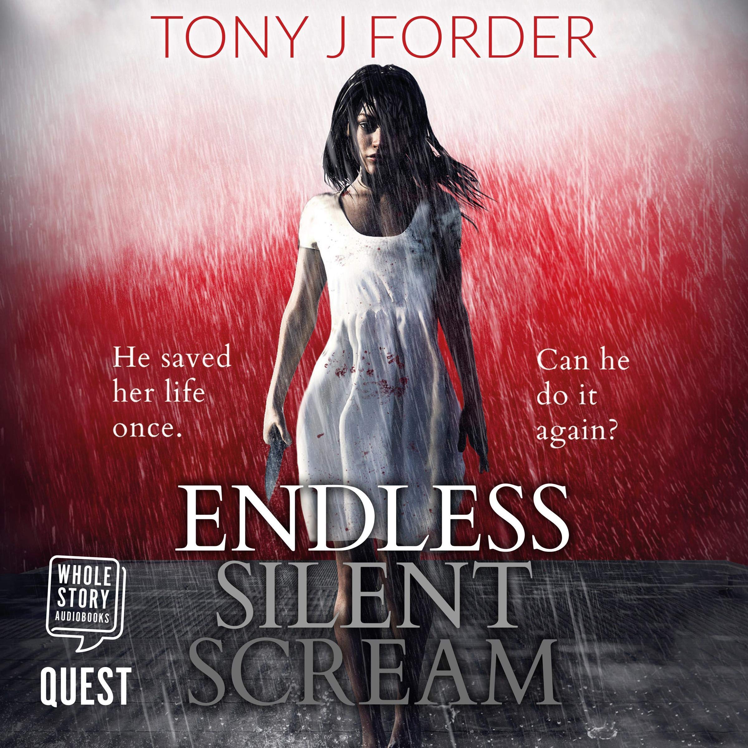 Cover art for Endless Silent Scream