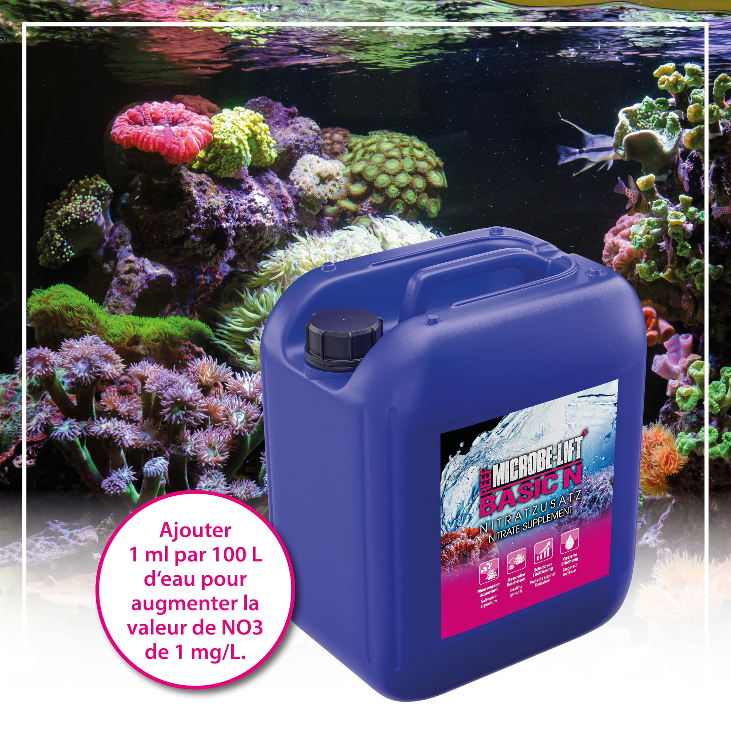 Supplément de Nitrate Marin 5000 ML - Basic N NO3 Plus Coraux | augmente nitrate, croissance saine, couleurs vives, paramètres nutritifs stables, coraux, aquarium récifal, eau de mer