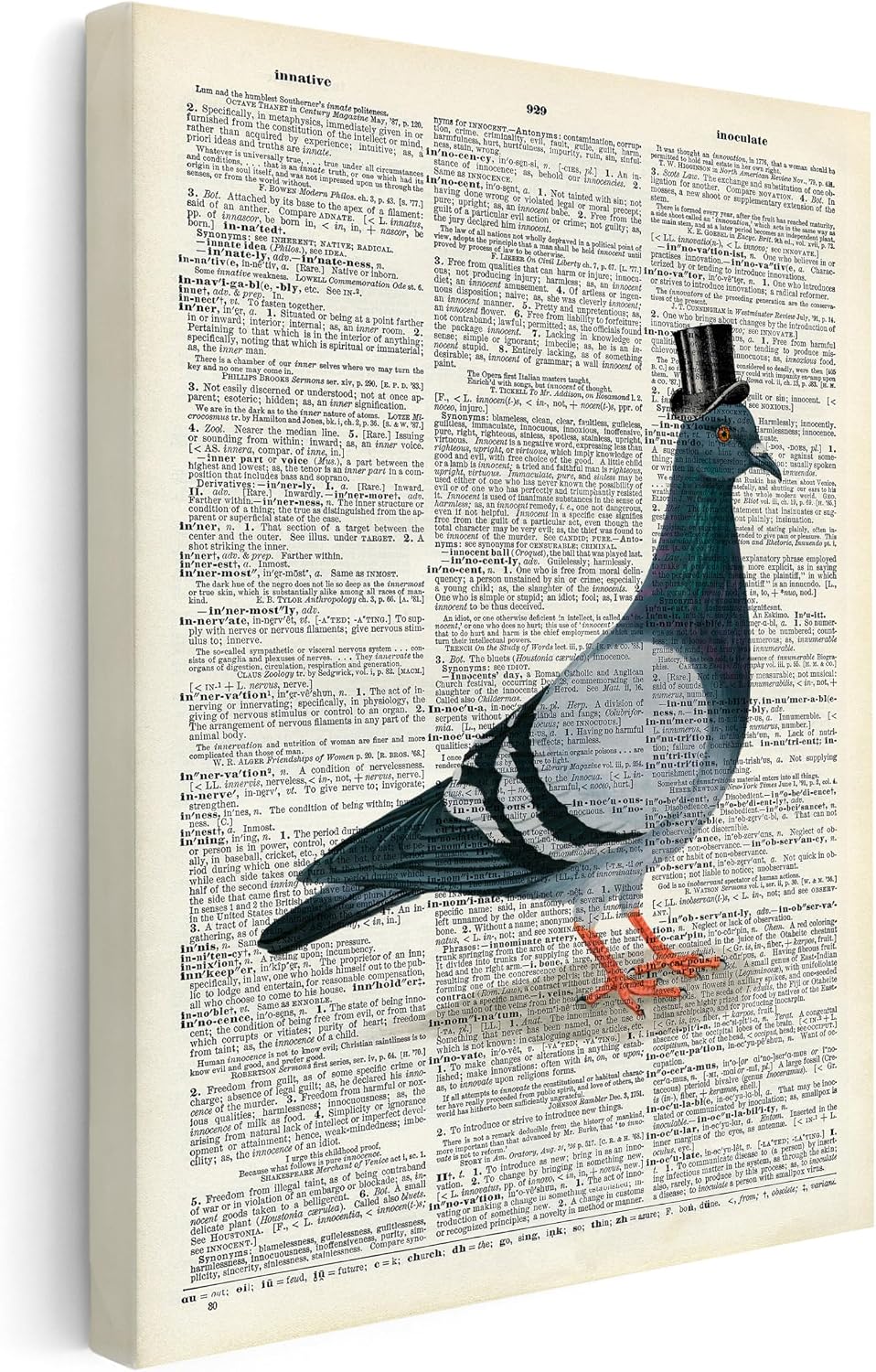 Poster Master Dictionary Art Canvas - Pigeon in a Top Hat Print - Bird Art - Gift for Men, Women & Animal Lover - Funny Decor for Bedroom, Living Room, Nursery or Kid's Room - 8x10 STRETCHED Canvas