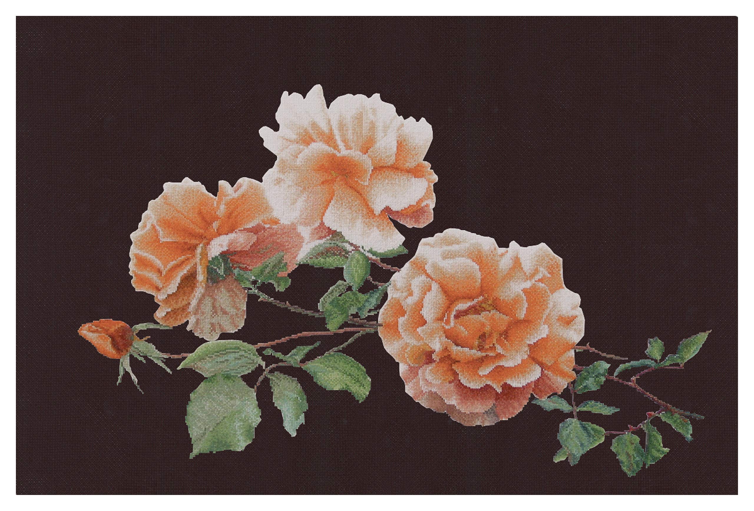 クロスステッチキットthea gouverneur peace rose クロスステッチキットthea gouverneur peace rose