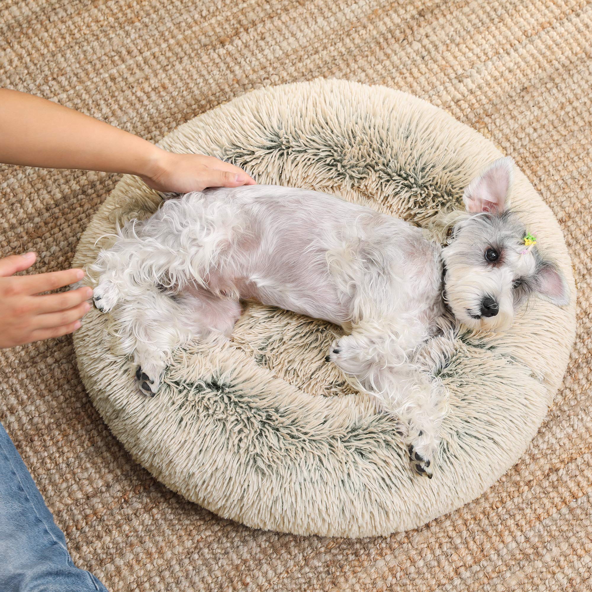 Feandrea Cuccia Cane Interno, Cuccia per Cani, Lettino per Animali Domestici a Ciambella, Cuscino Sfoderabile e Lavabile, Tappeto di Peluche, Diametro 70 cm, Cachi PGW039S01