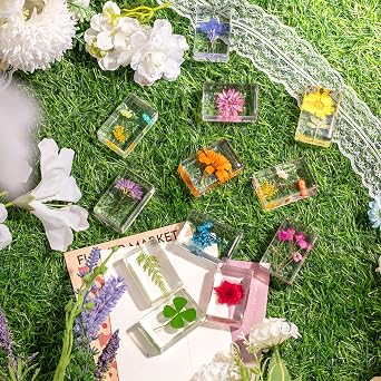 12 Pcs Real Pressed Flower Resin Paperweights - Botanical Specimen Collection for Home Desk Decor, Science Education, and Unique Display Supplies