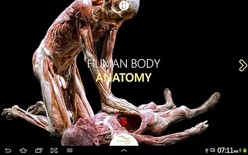 Human Body Anatomy