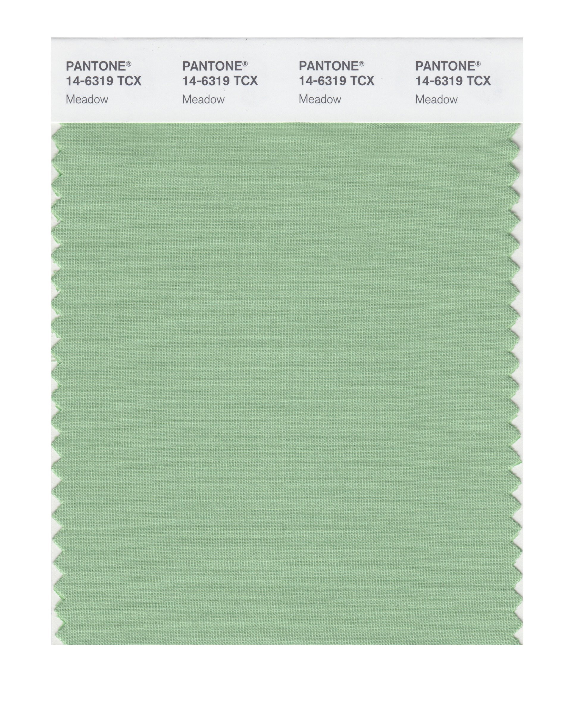 PantoneSMART 14-6319X Color Swatch Card, Meadow