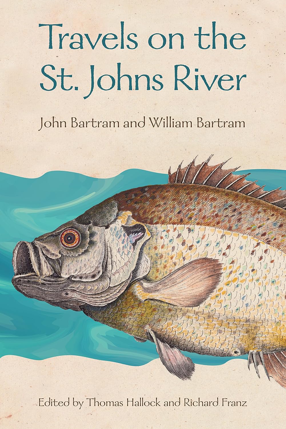 Travels on the St. Johns River