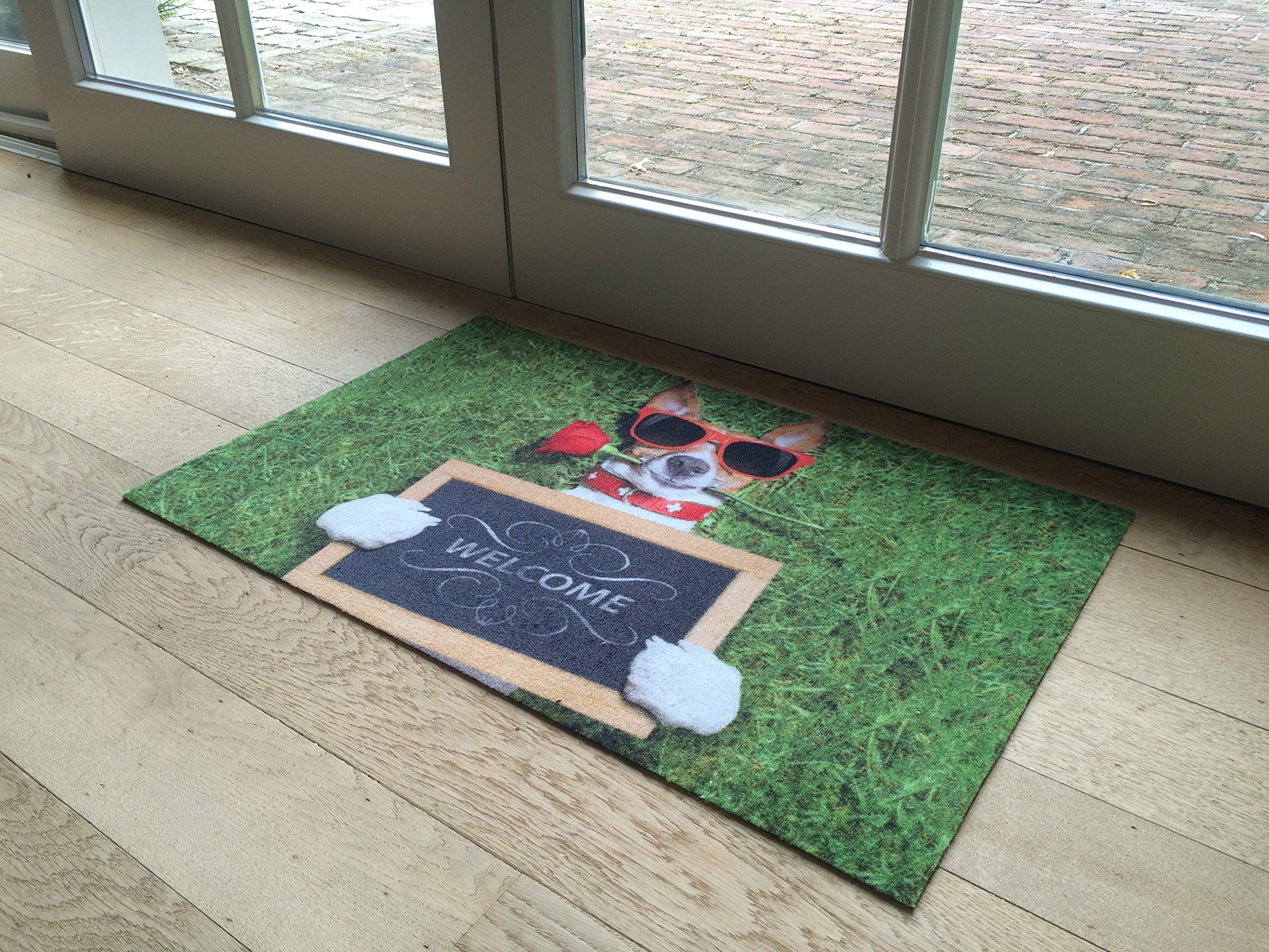 Lustige Hunde-Portrait Fußmatte Von OKu-Tex | Deco-Star Schmutzfangmatte 40x60 Cm | Rutschfest, Waschbar