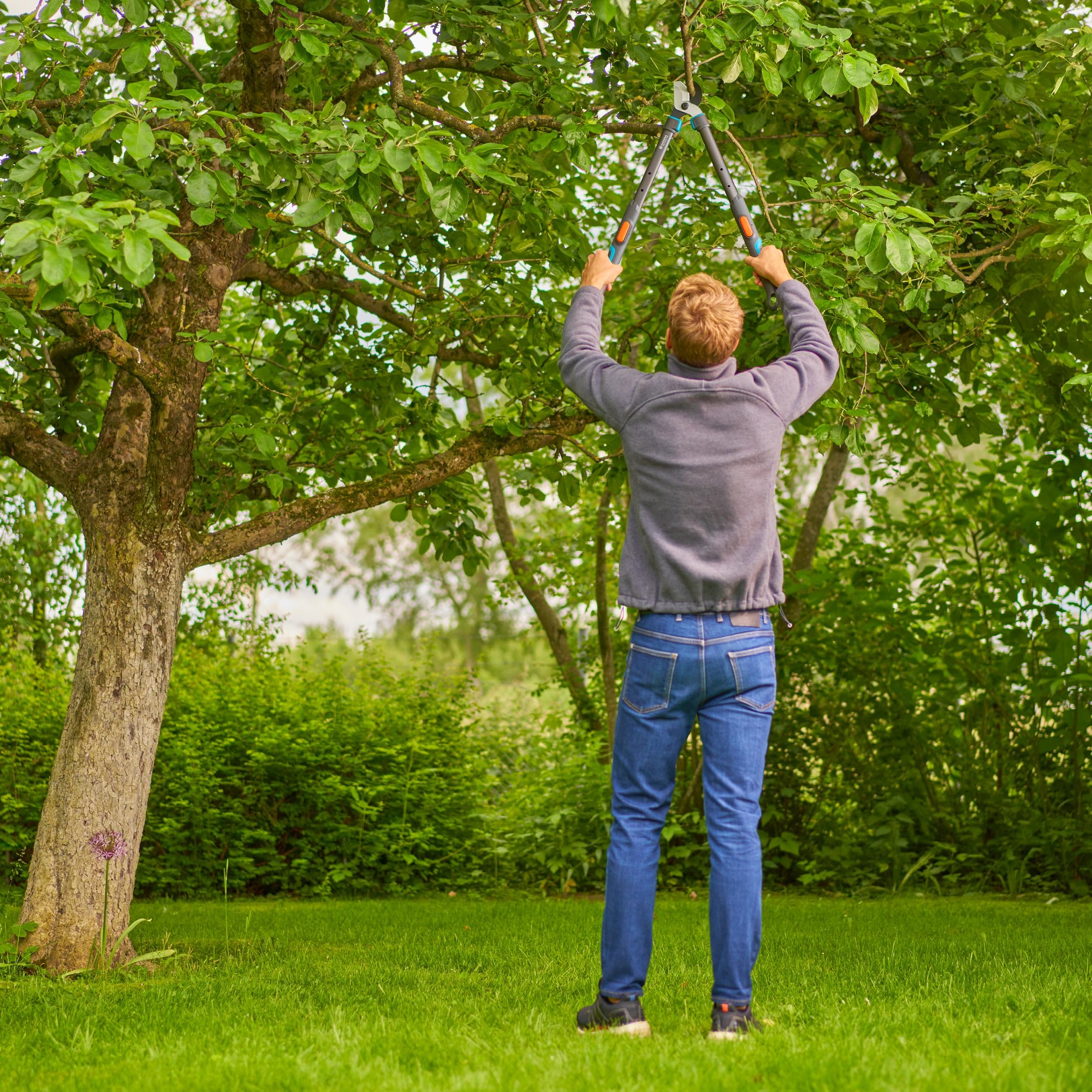 Gardena Cisaille à branches TeleCut Pro S: cisaille à branches télescopique pour bois frais jusqu'à 50 mm, extensible jusqu'à 670 mm, lames affûtées avec précision (12040-88)