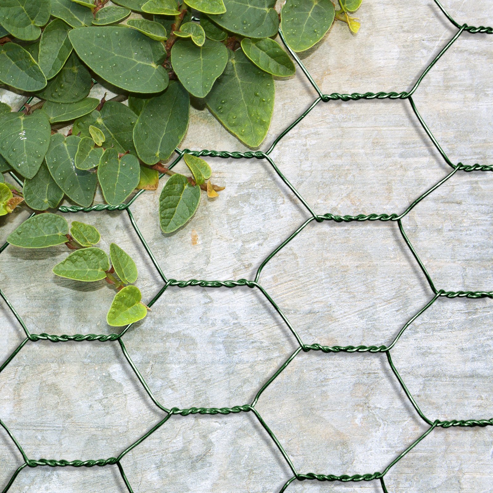 casa pura Grillage métallique galvanisé – Grille Anti-Volets et Fil de Volière - Grillage à Poule - Treillis métallique Anti-Rouille Maille hexagone, Épaisseur 0,8 mm 25mm - (H) 75 cm x (L) 25 m Vert